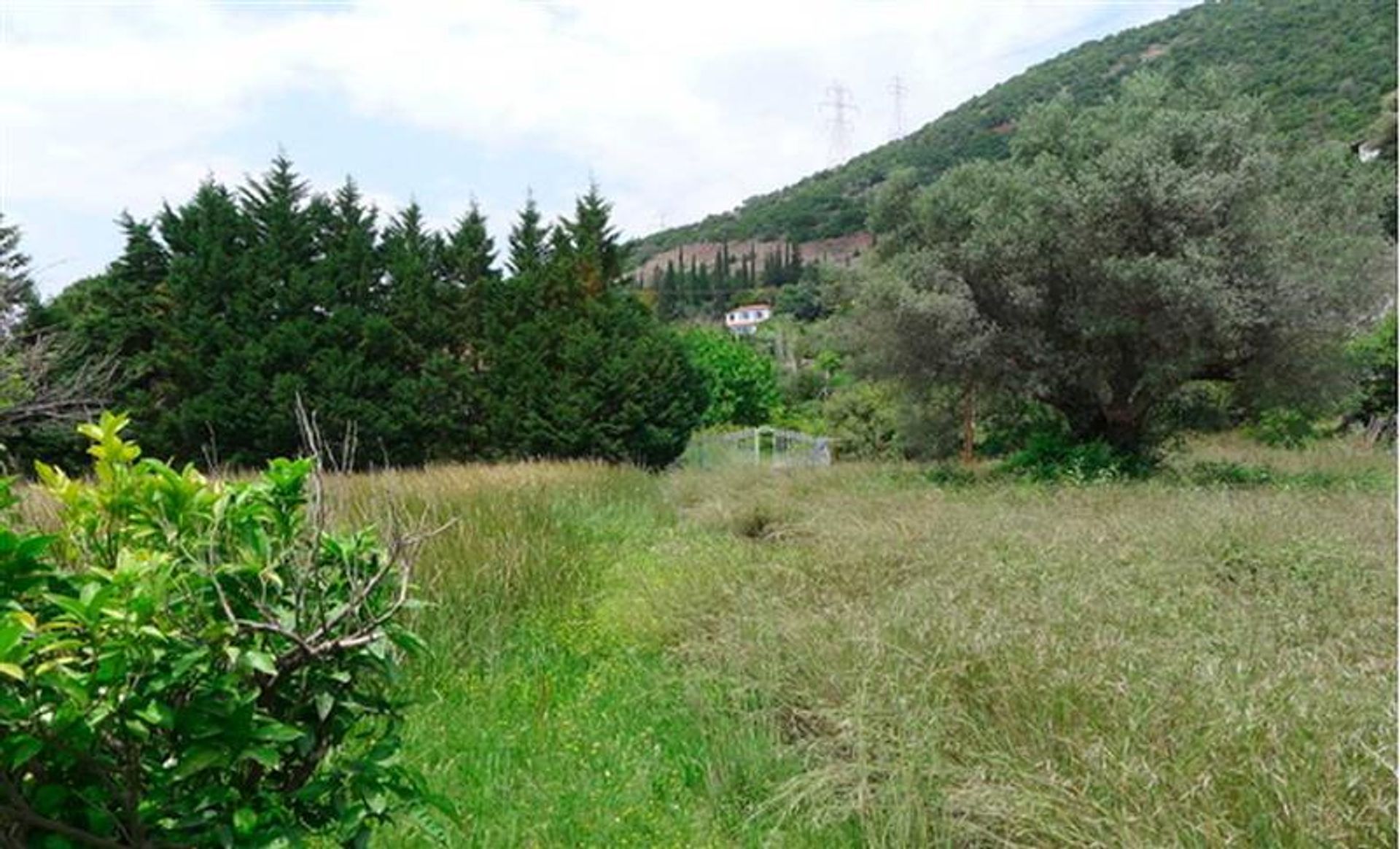 Land in Pyrgi, Dytiki Ellada 10116237