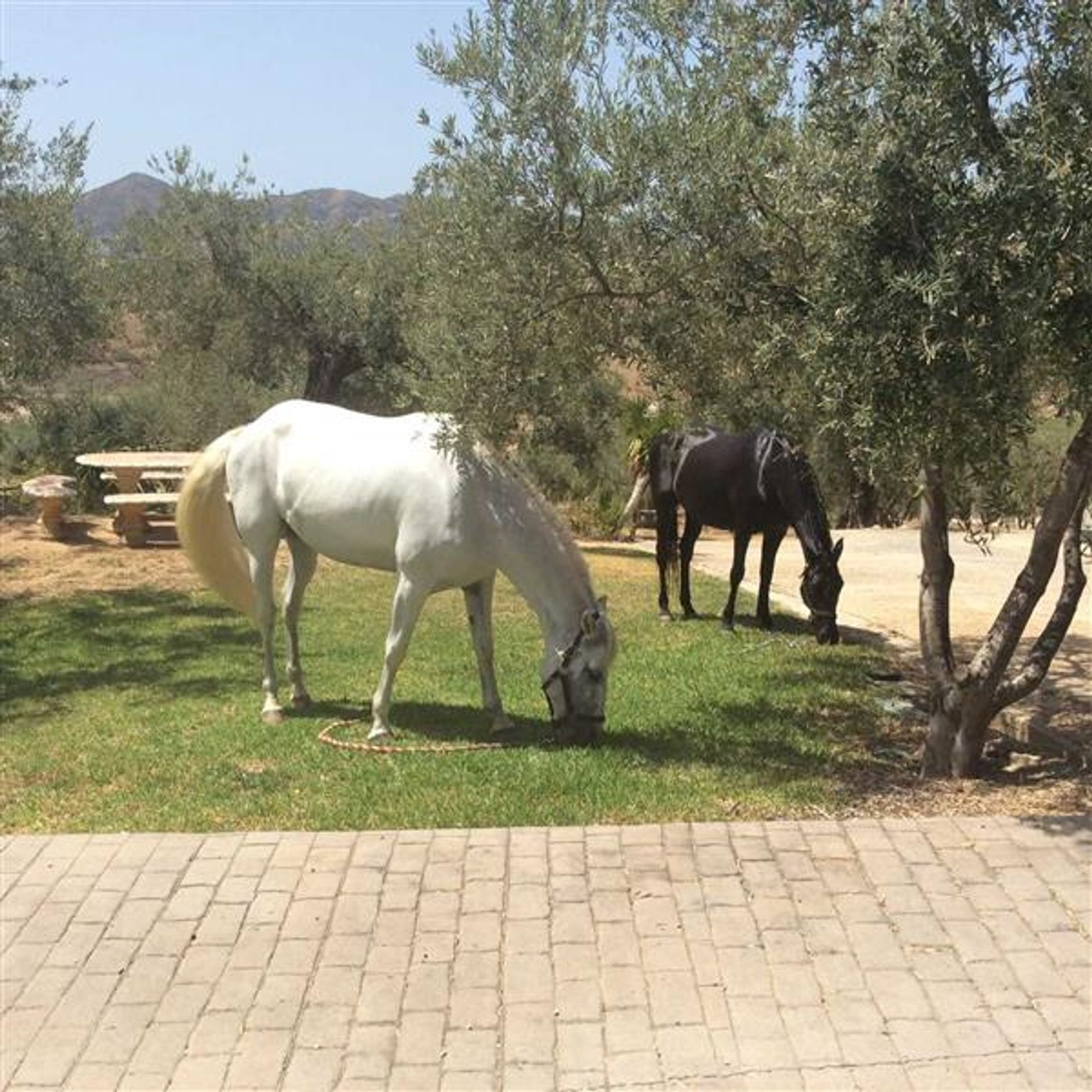 Συγκυριαρχία σε Μάλαγα, Ανδαλουσία 10116256