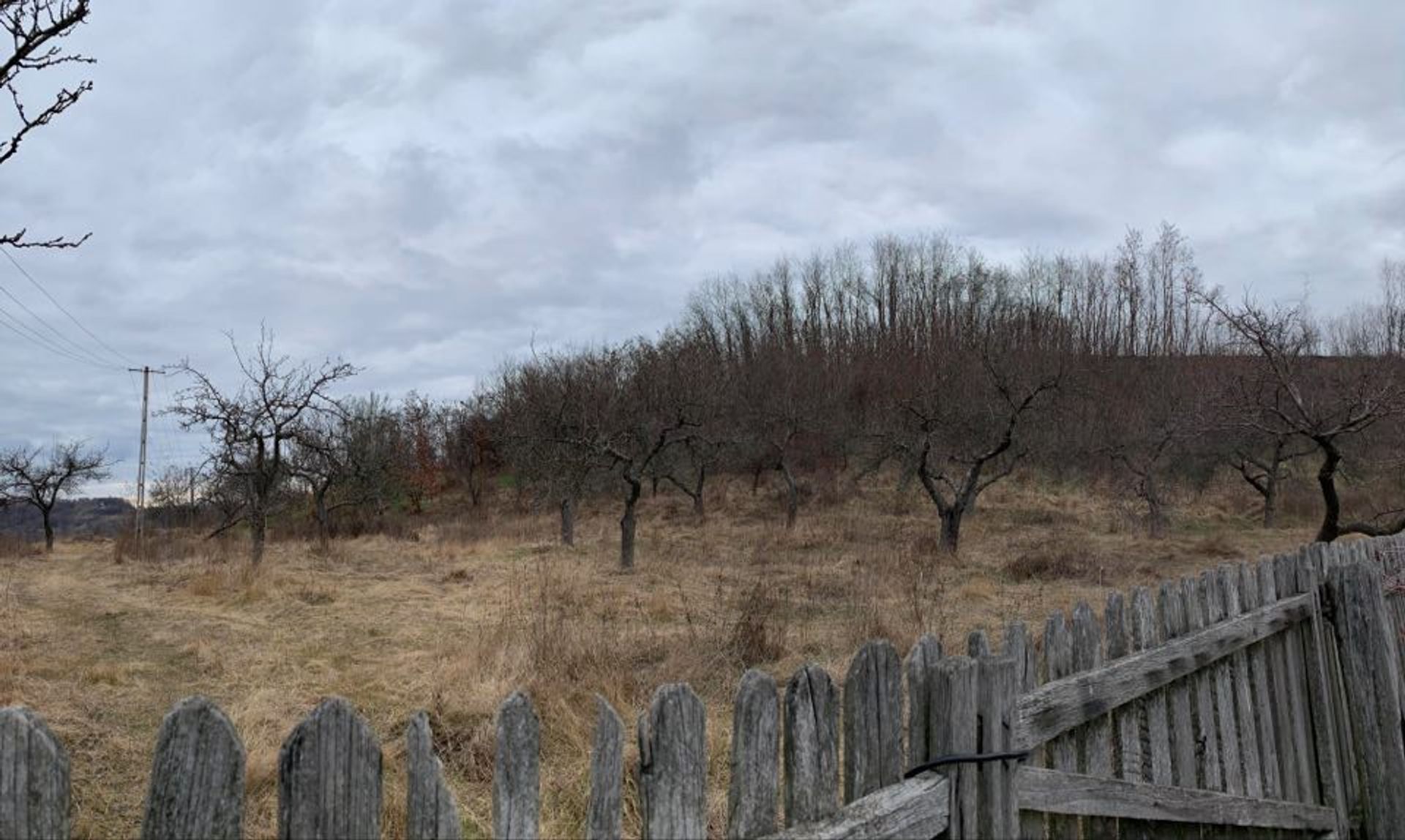 Land in Feţeni, Valcea 10116315