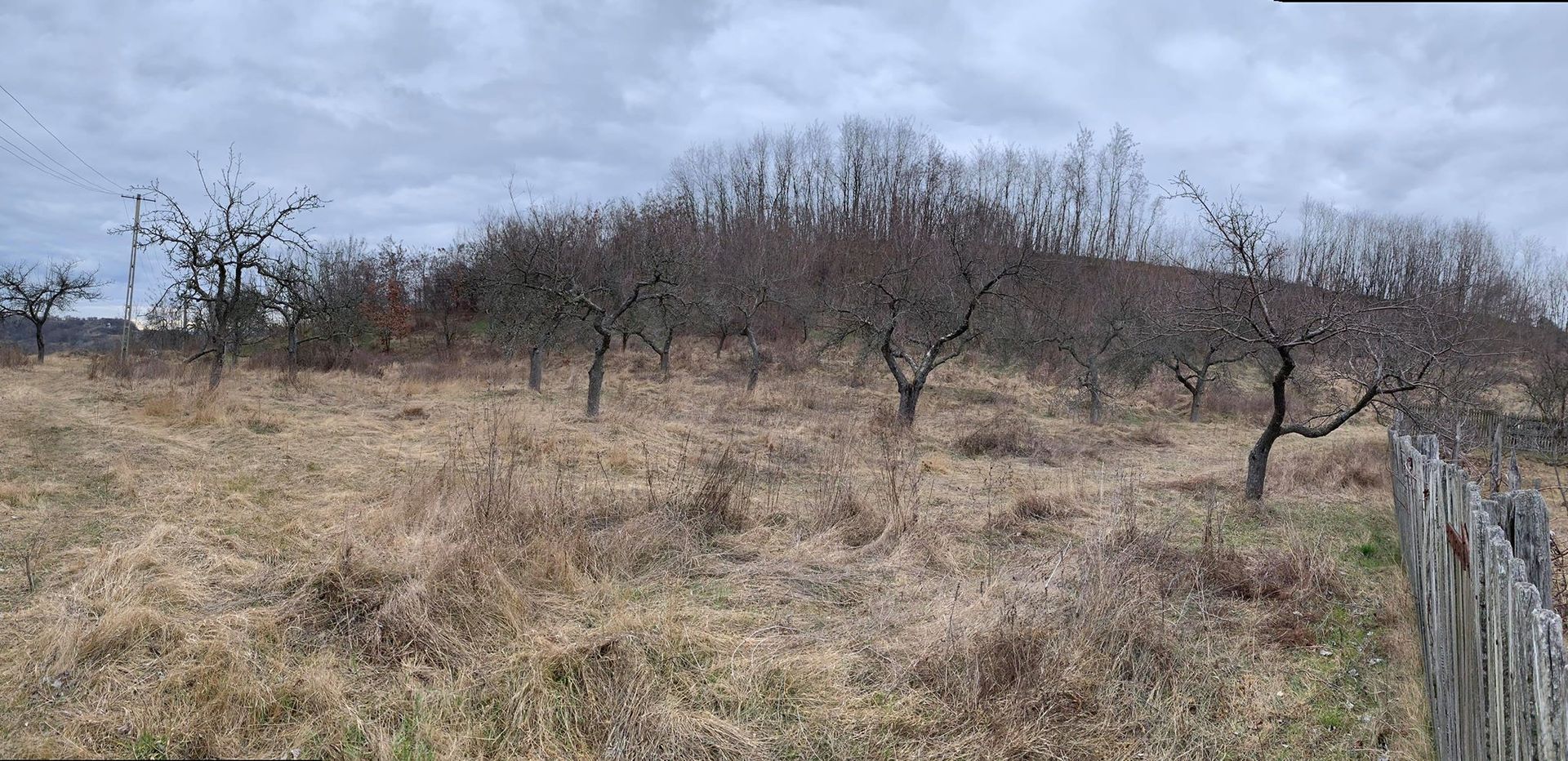 Tanah di Feţeni, Valcea 10116315