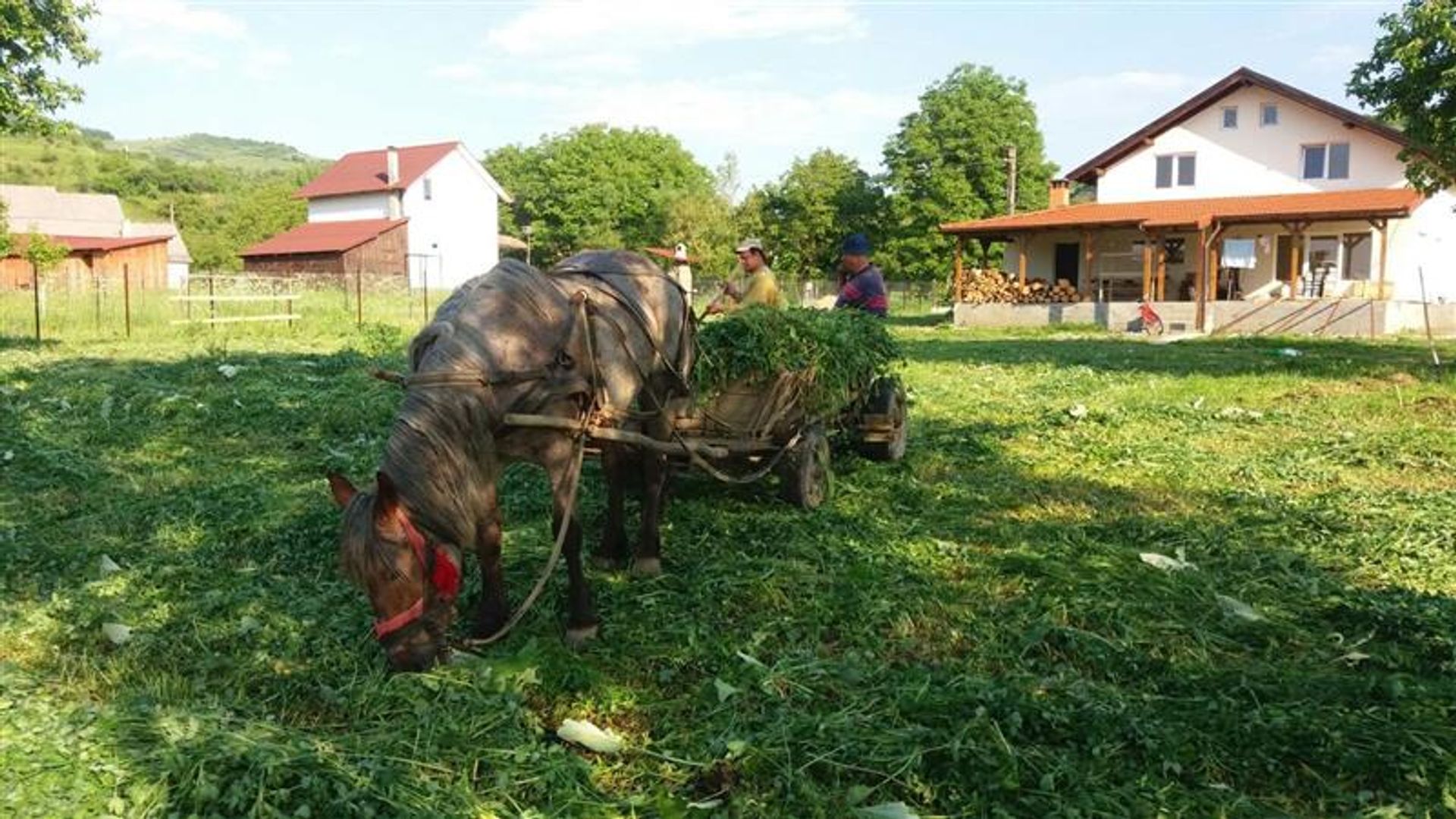 casa no Bălan, Harghita County 10116339