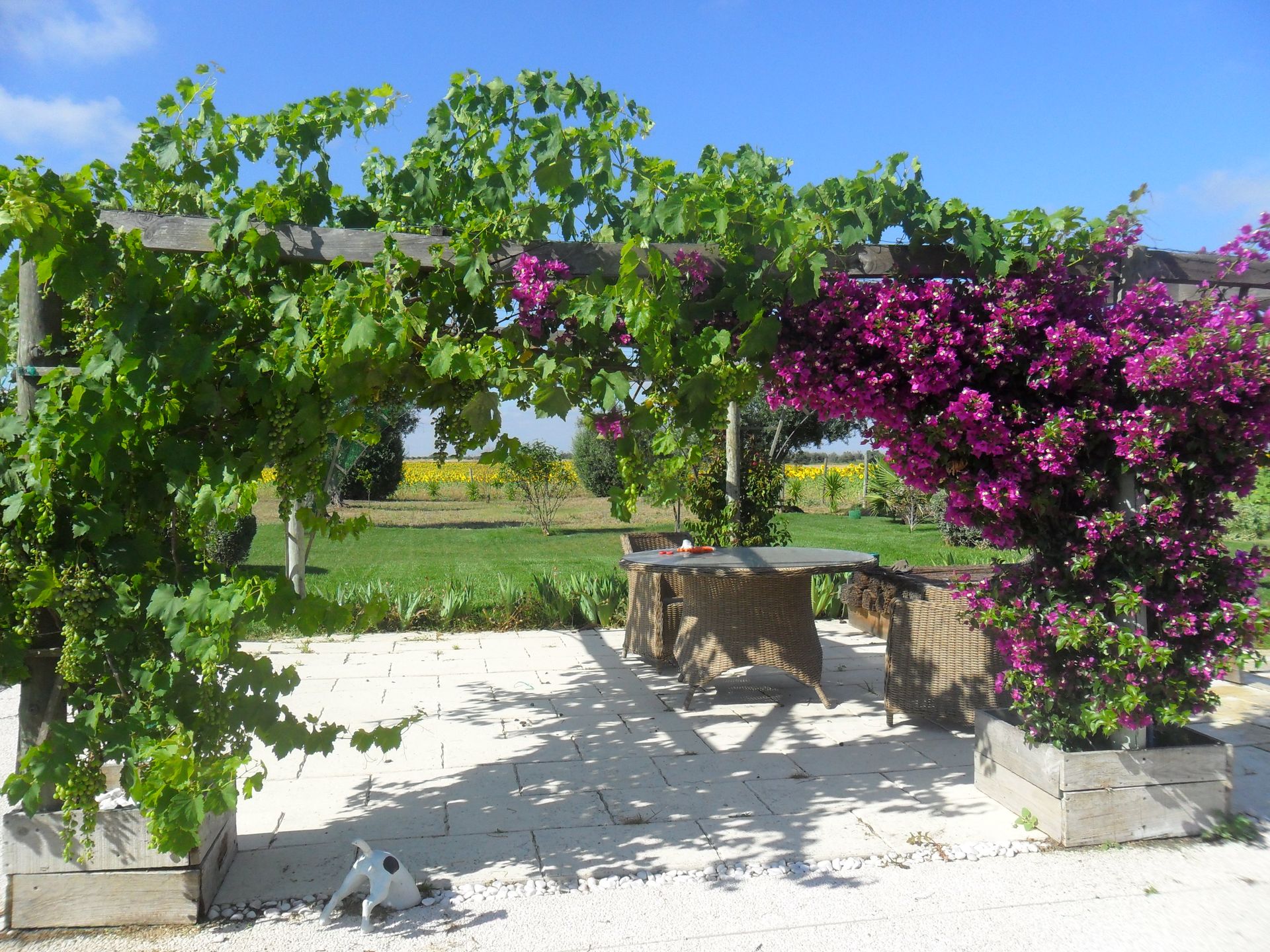 Land in Ferreira do Alentejo, Beja District 10116383