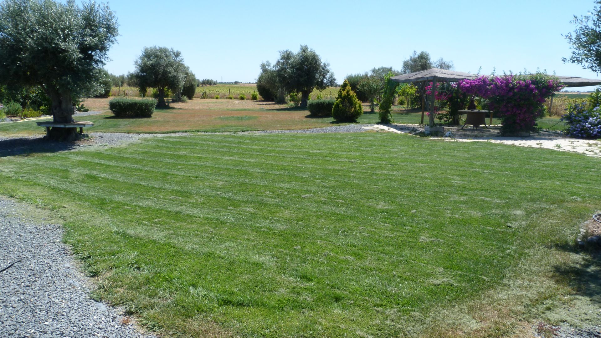 Tanah di Ferreira do Alentejo, Beja 10116383