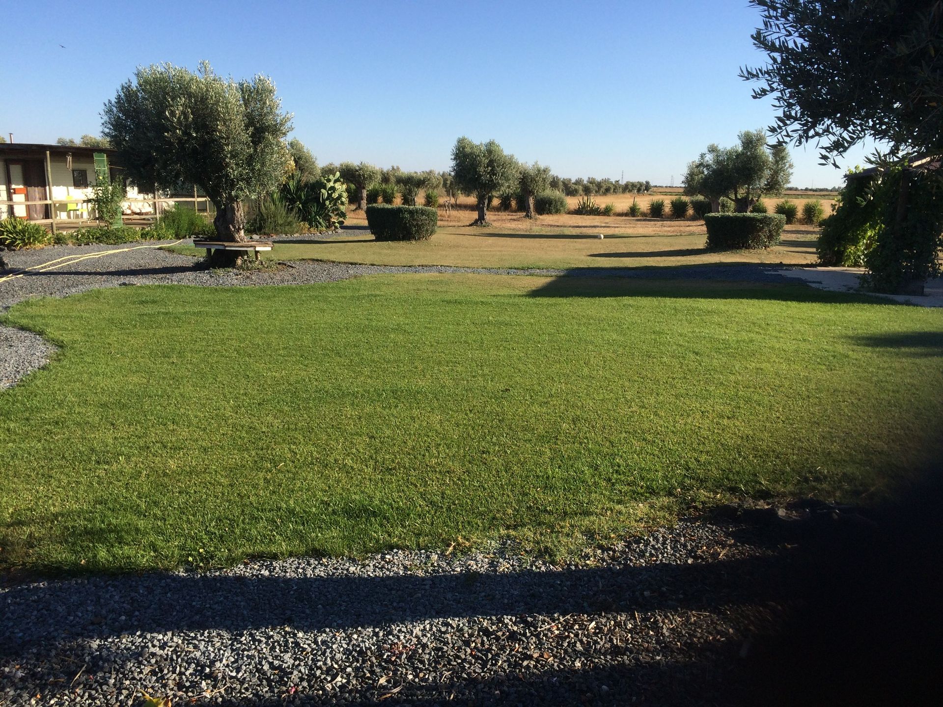 Land in Ferreira do Alentejo, Beja District 10116383