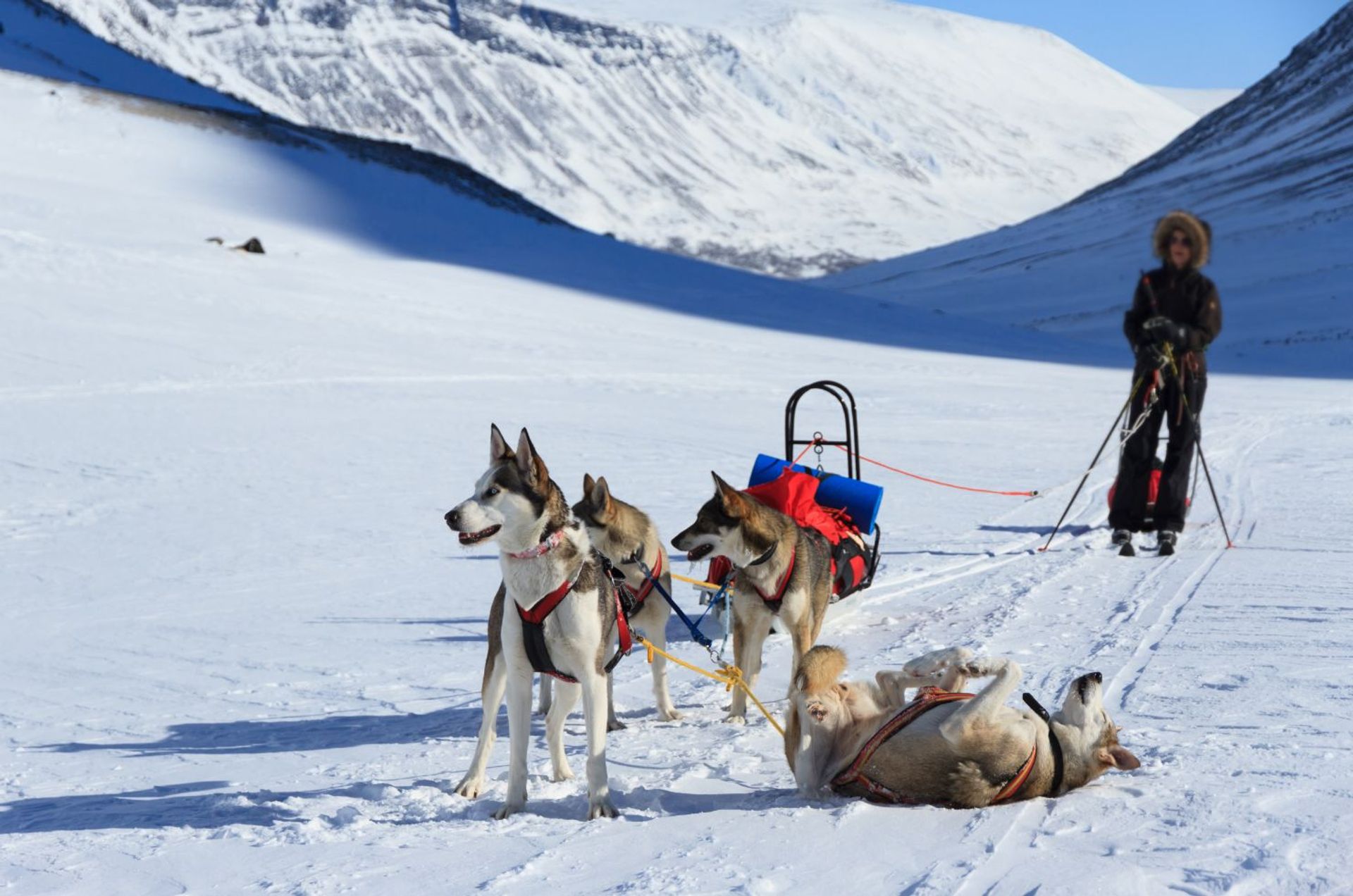 Hus i Malangseidet, Troms 10116428