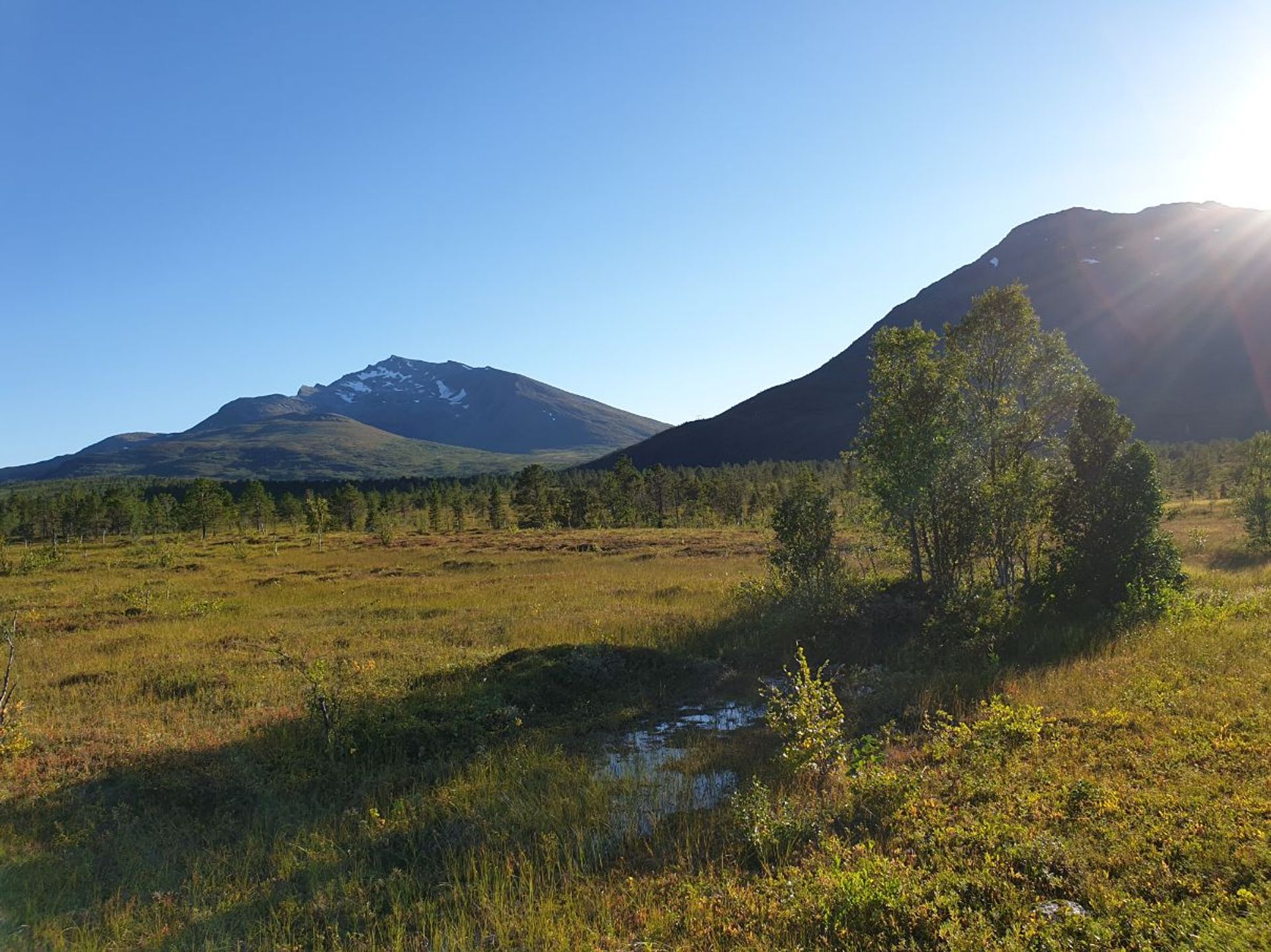 Dom w Mestervik, Troms og Finnmark fylke 10116428