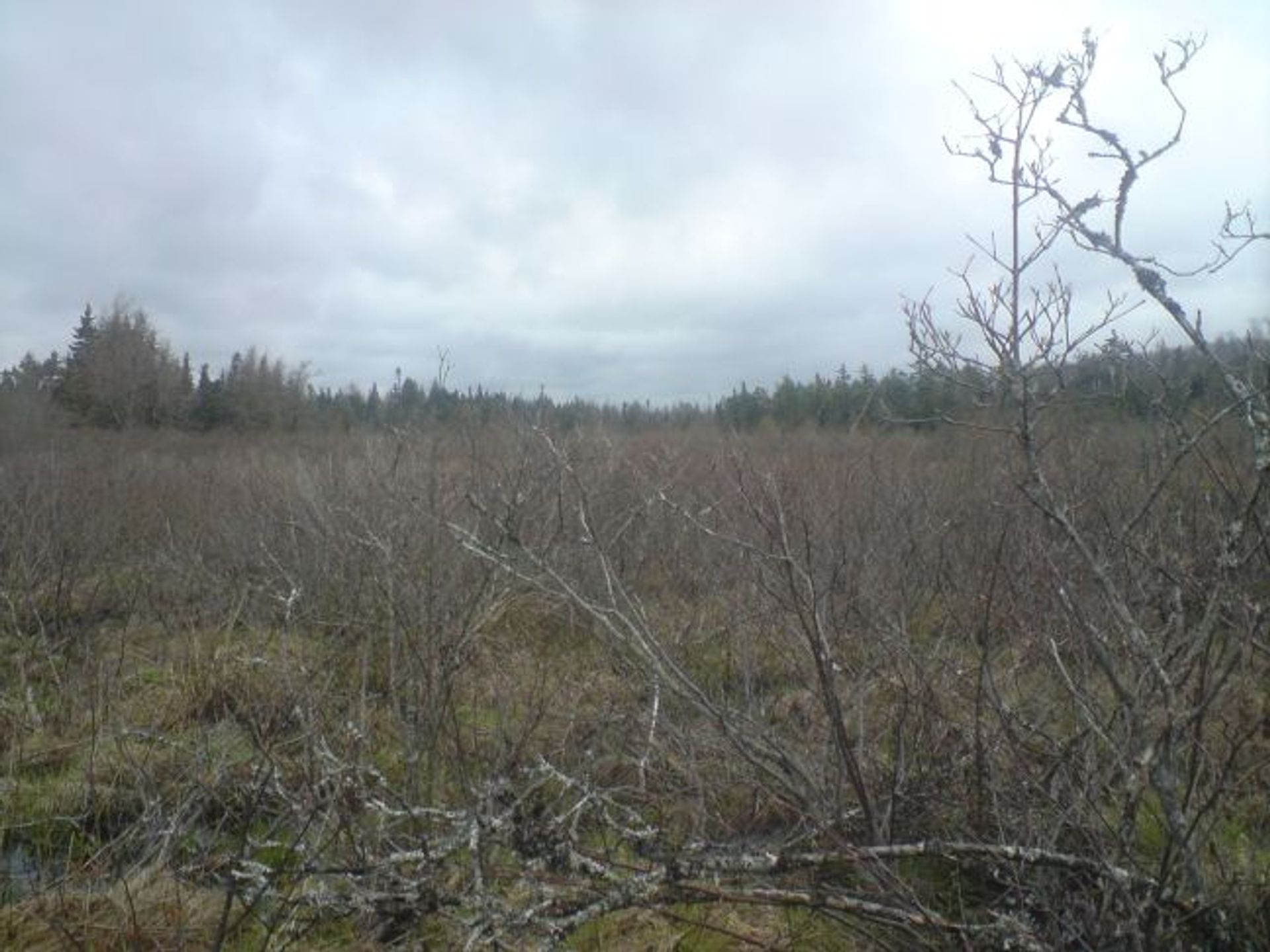 Земля в Caribou Marsh, Nova Scotia 10116429