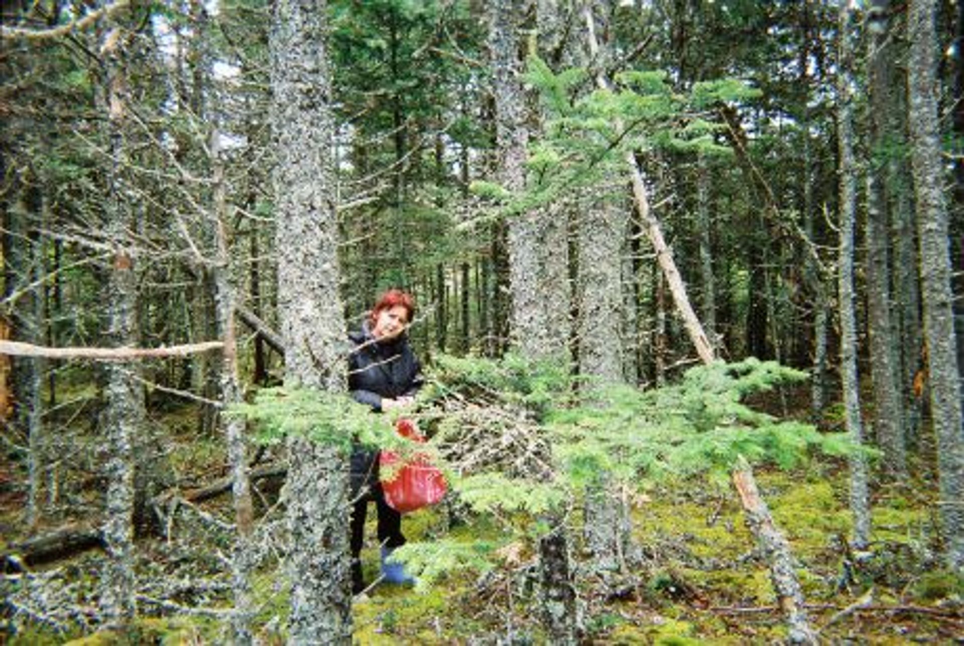 Земля в Caribou Marsh, Nova Scotia 10116429