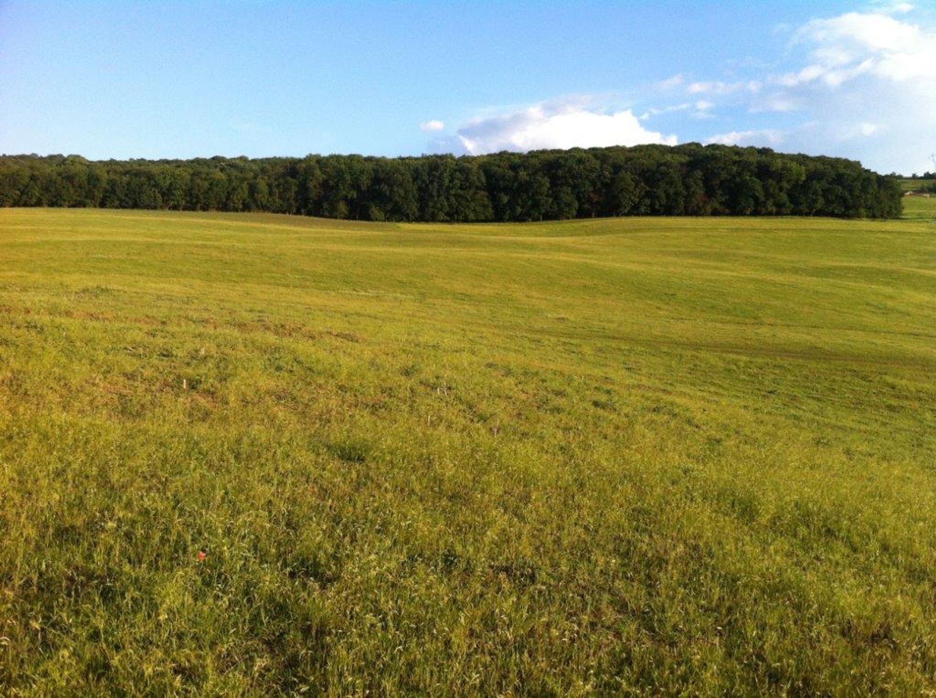 土地 在 Zau de Câmpie, Mureș County 10116476