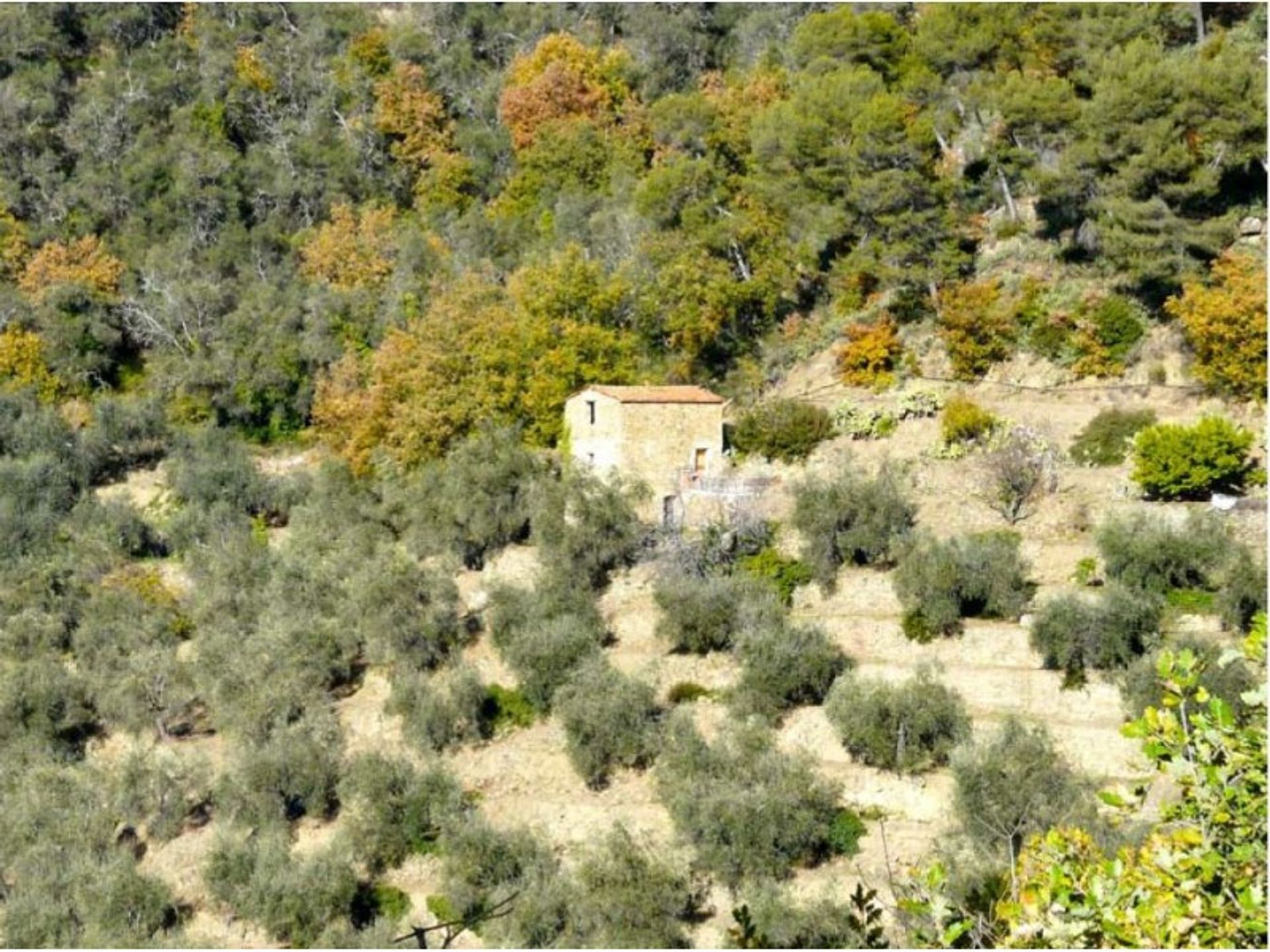 σπίτι σε Dolceacqua, Λιγουρία 10116494