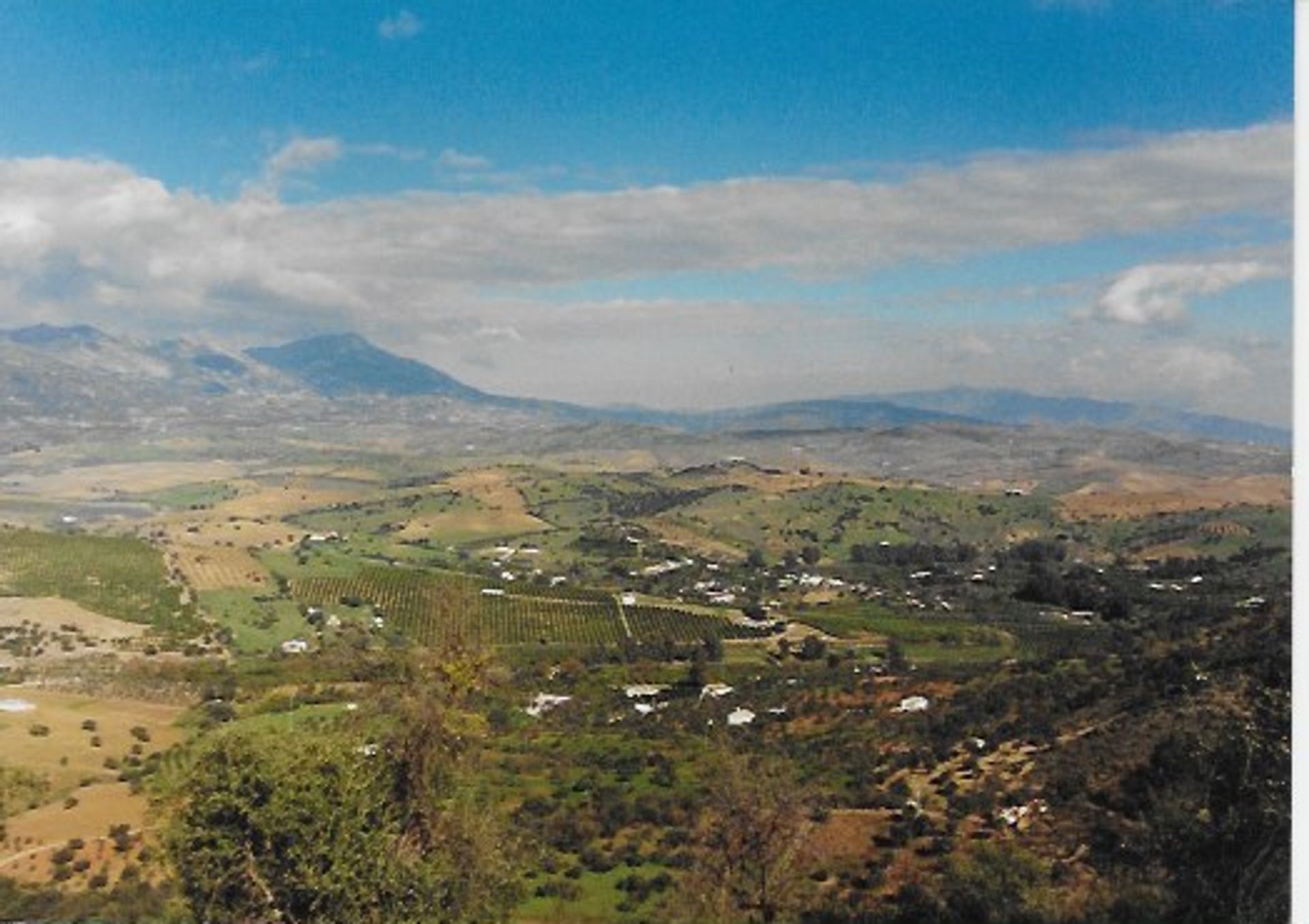 ארץ ב Coín, Andalusia 10116582