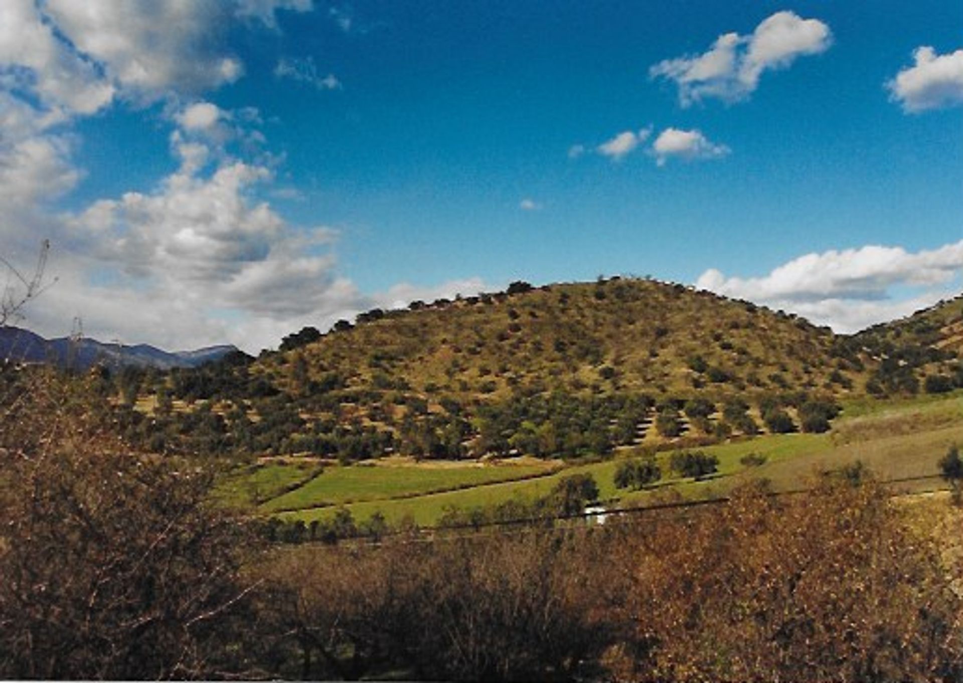 Land in Munt, Andalusië 10116582