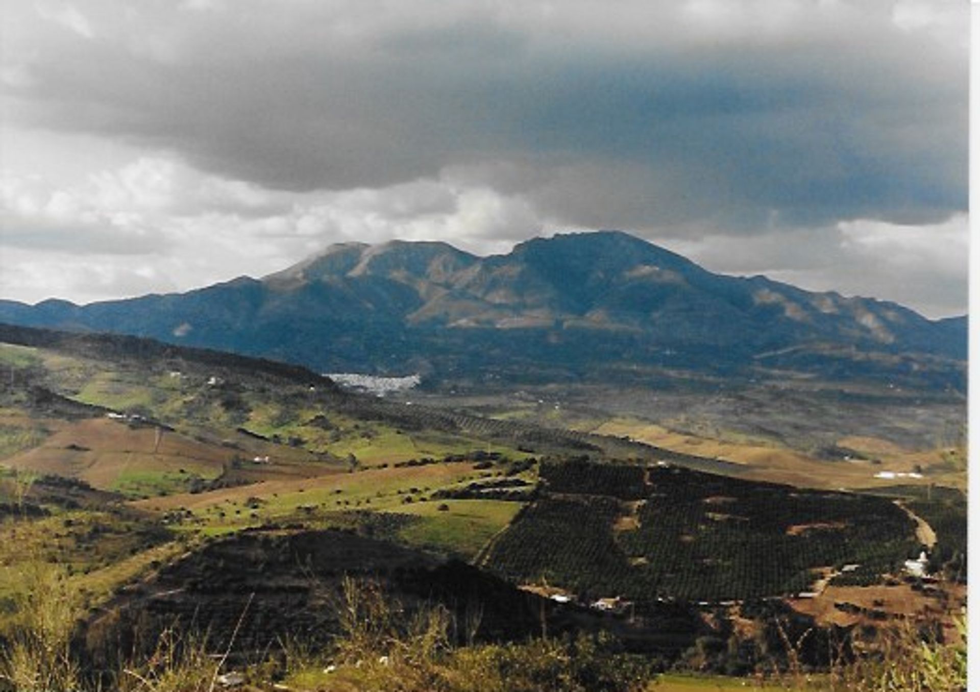 Land im Münze, Andalusien 10116582