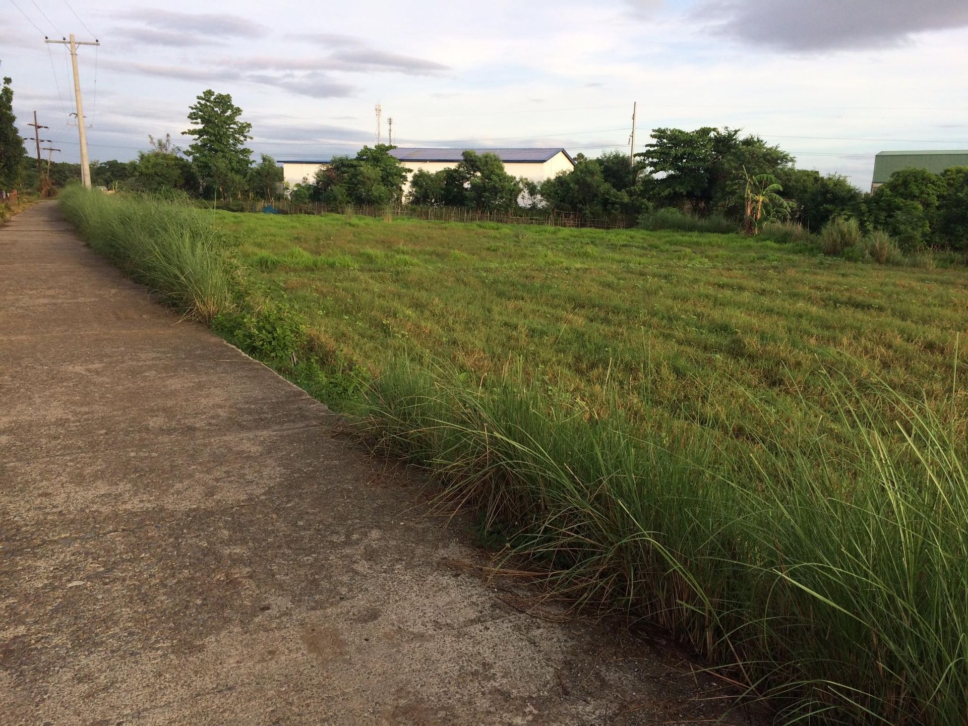 Land in Siboel, Nueva Ecija 10116644