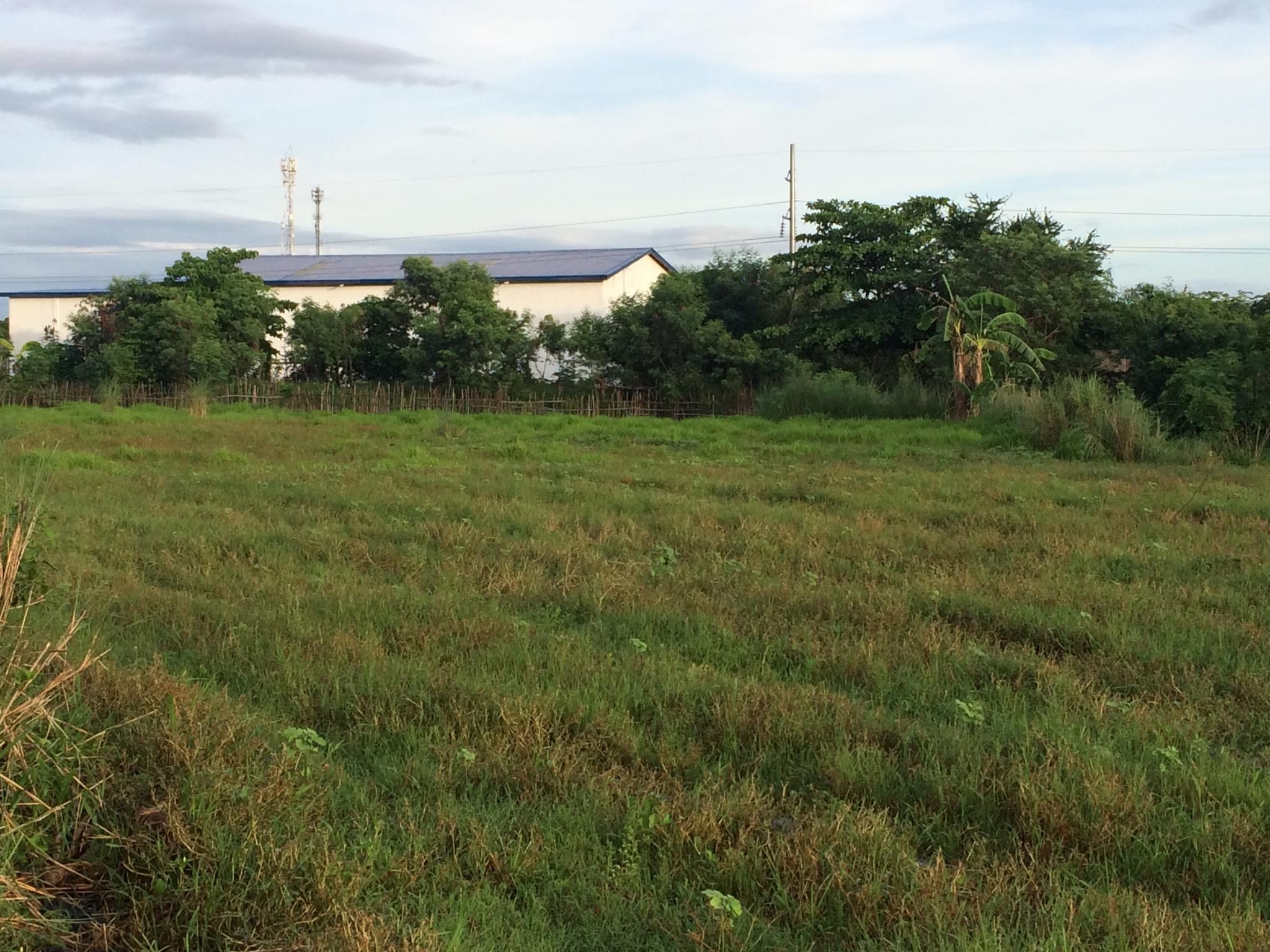Land in San Jose City, Central Luzon 10116644