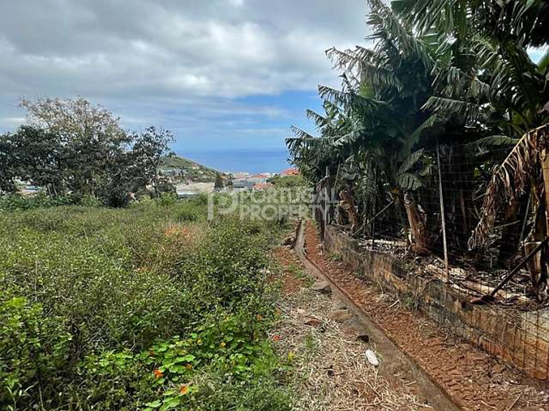 Land in Funchal, Madeira 10116787