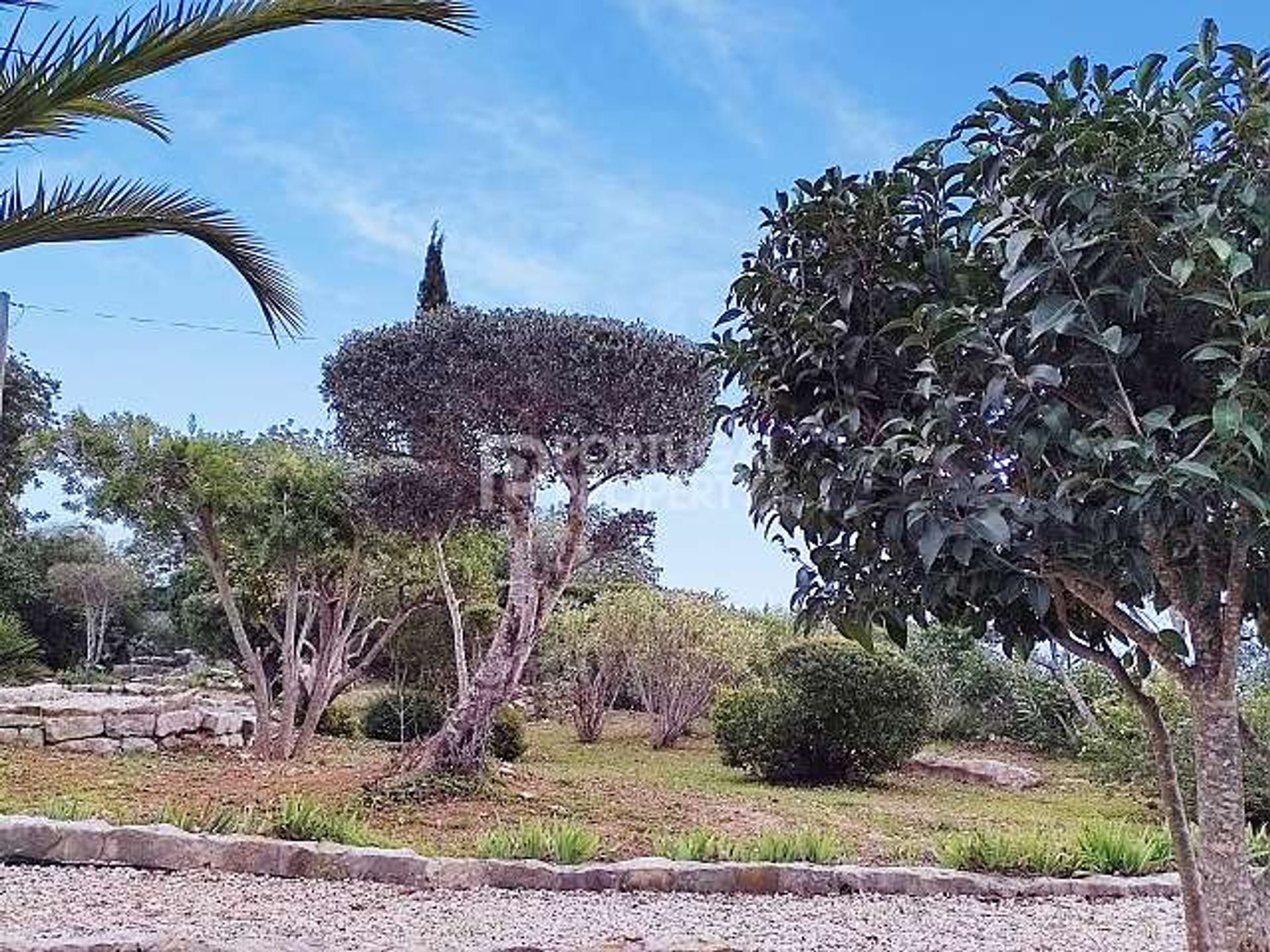 Huis in Santa Bárbara de Nexe, Faro 10116807