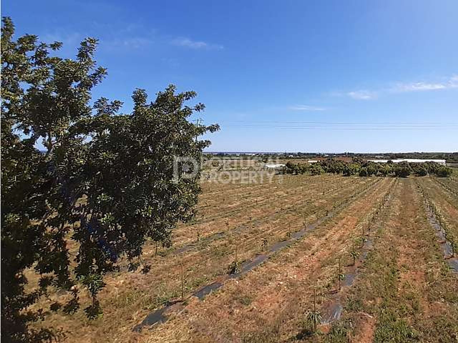 Eigentumswohnung im Tavira, Faro District 10116824