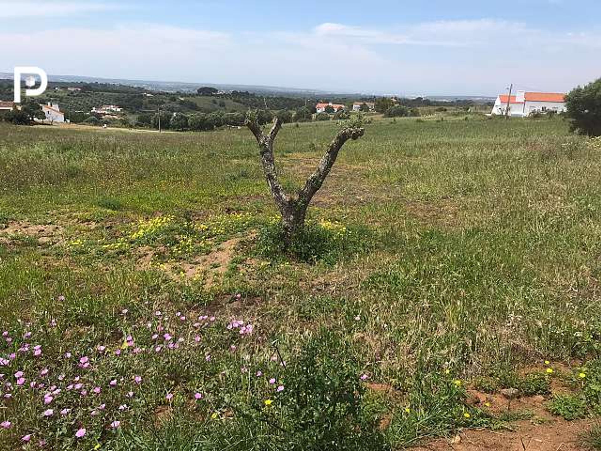 الأرض في Aldeia Nova do Concelho, Faro 10116836