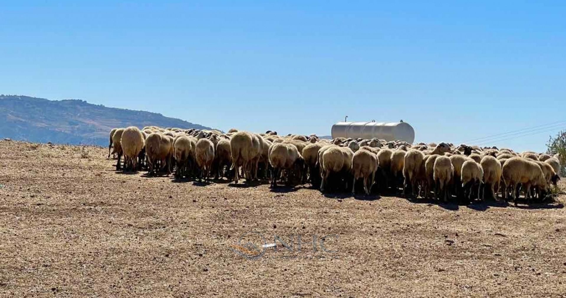 жилой дом в Fyti, Paphos 10117087