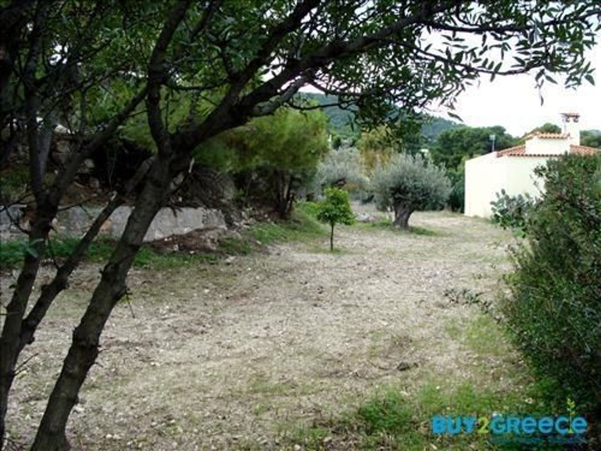 Land in Kypseli, Attik 10117803