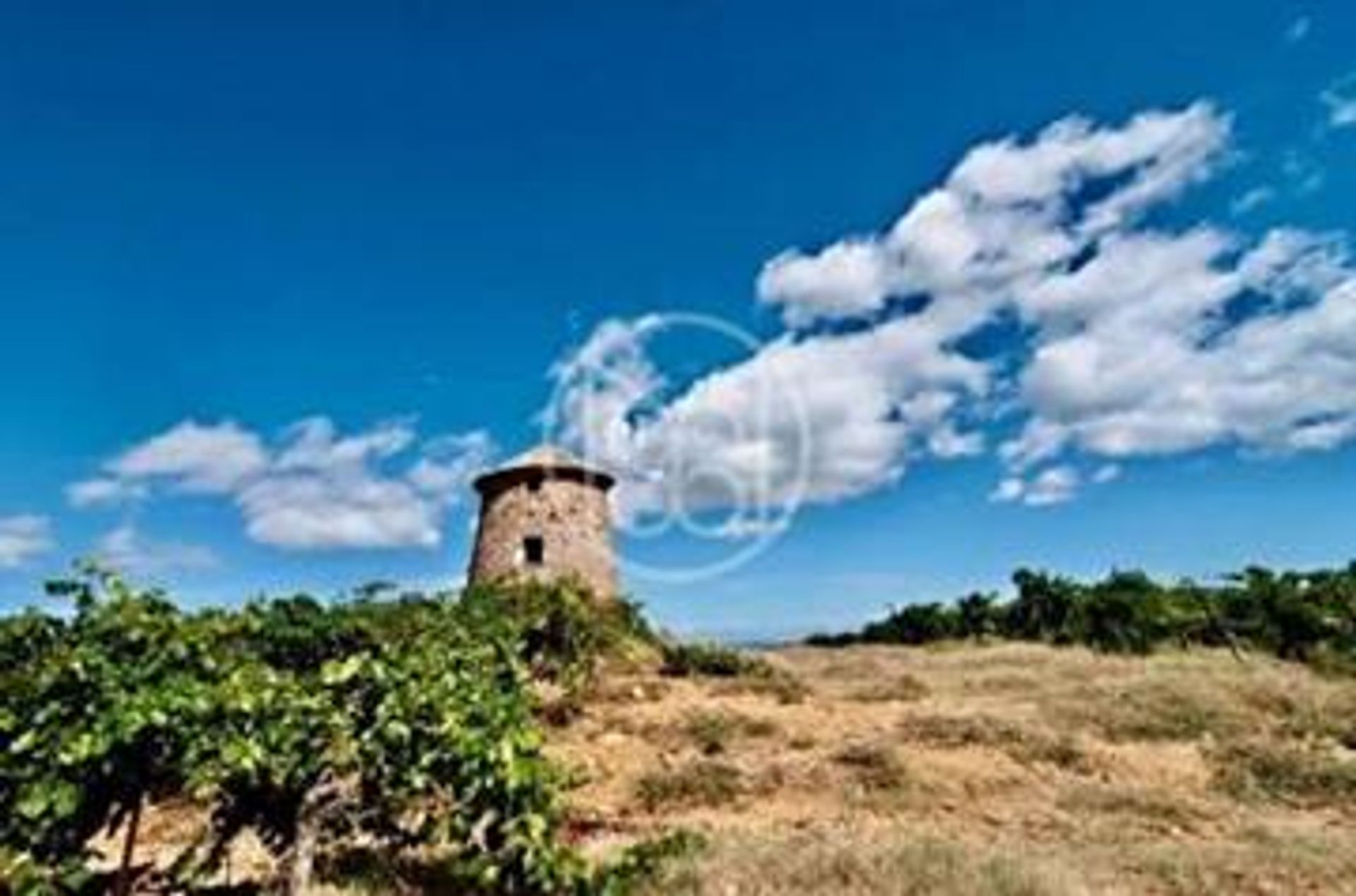 Huis in Lezignan-Corbières, Occitanië 10118055