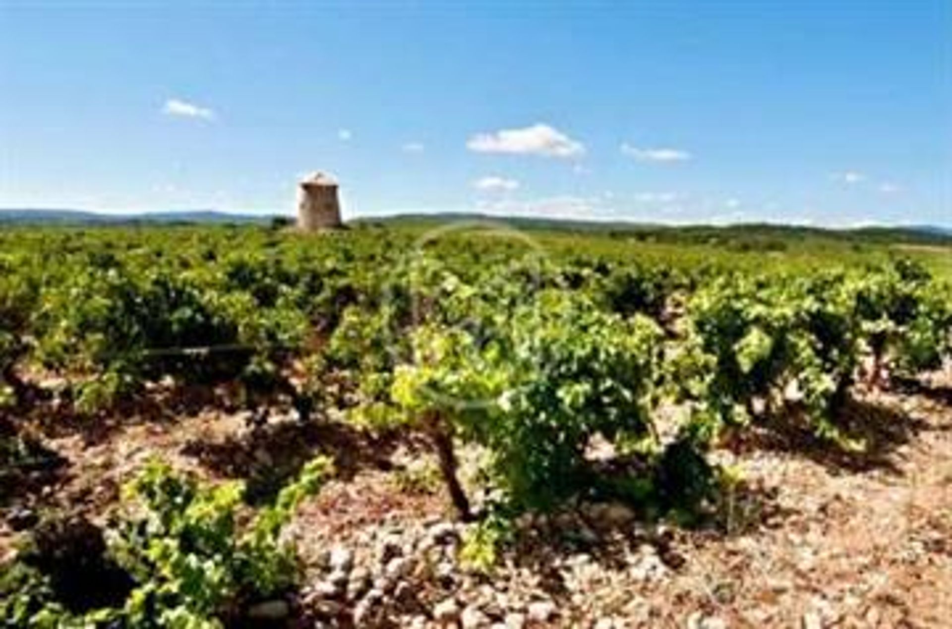 loger dans Lézignan-Corbières, Occitanie 10118055