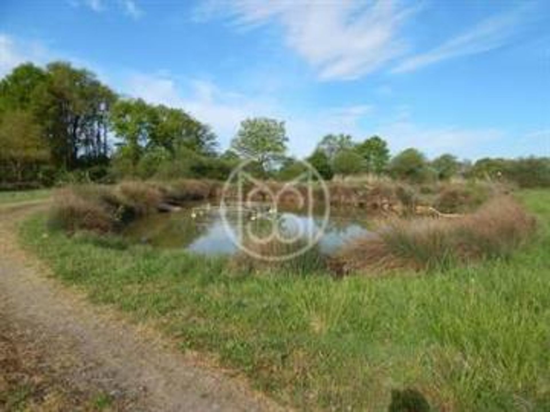 بيت في Saint-Martin-l'Ars, Nouvelle-Aquitaine 10118133