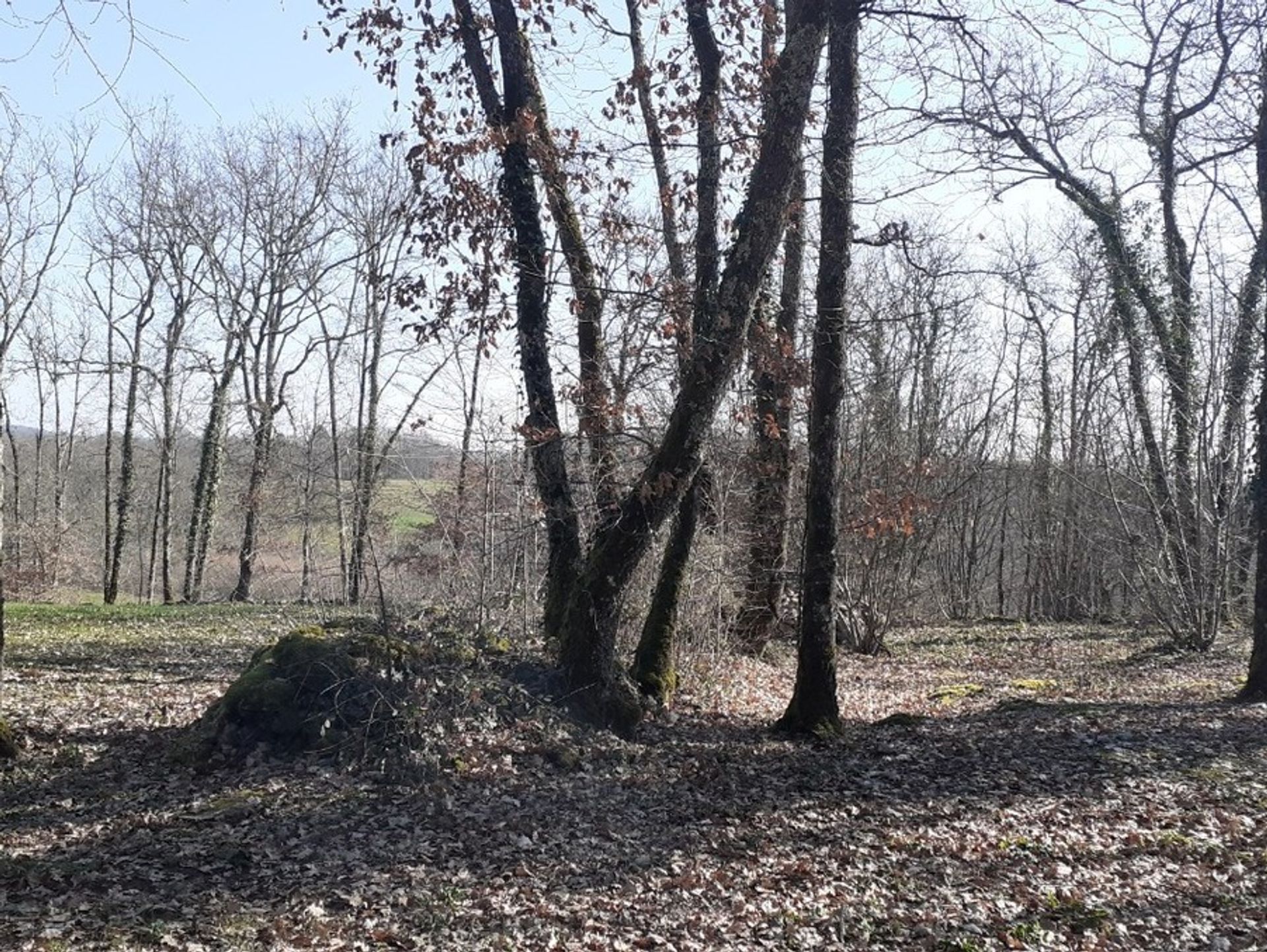 土地 在 Lalinde, Nouvelle-Aquitaine 10118477