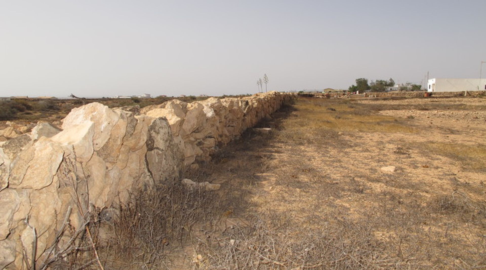 Tanah dalam Tindaya, Canarias 10119092