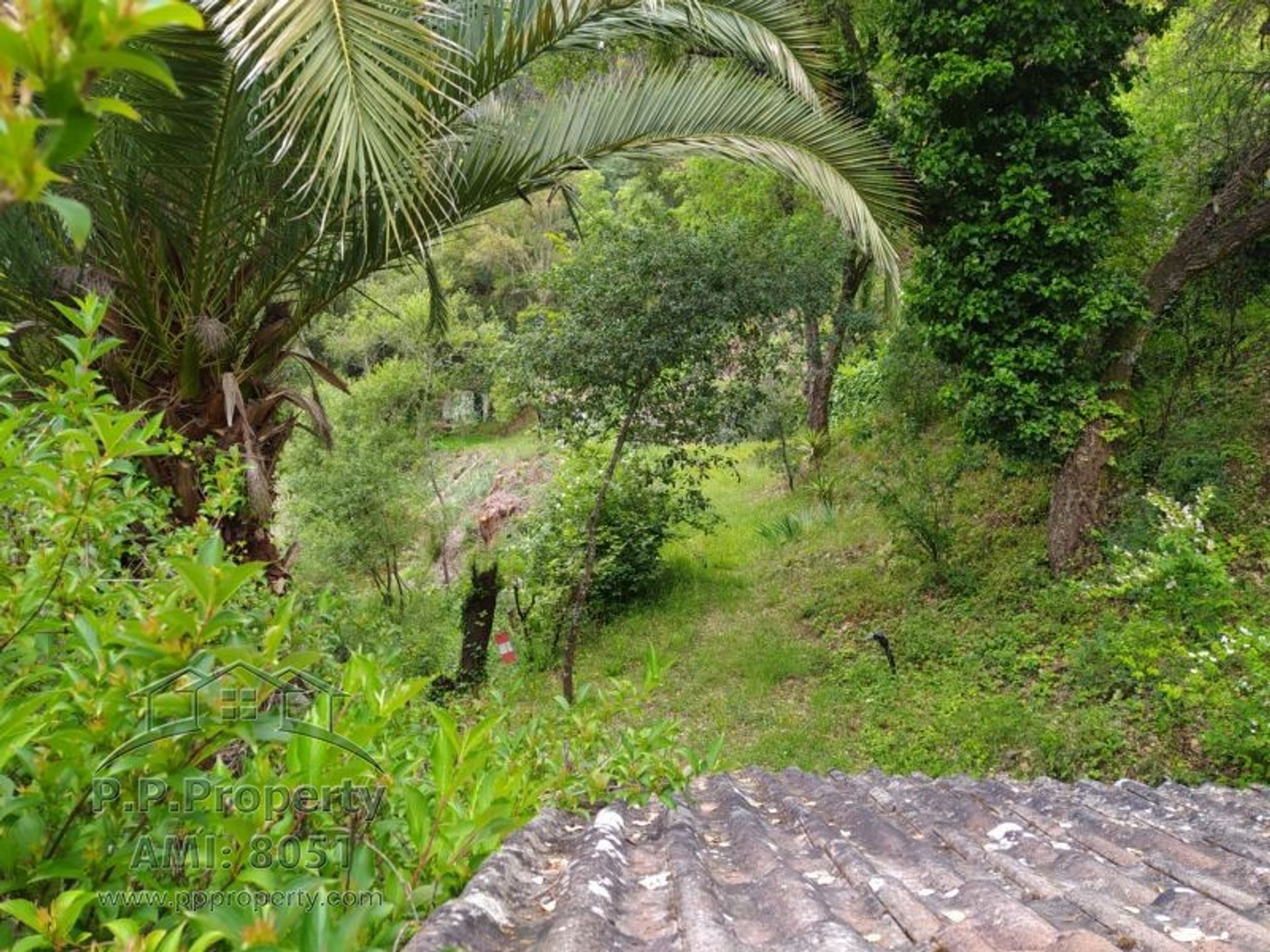 Haus im Tomar, Santarém District 10119247