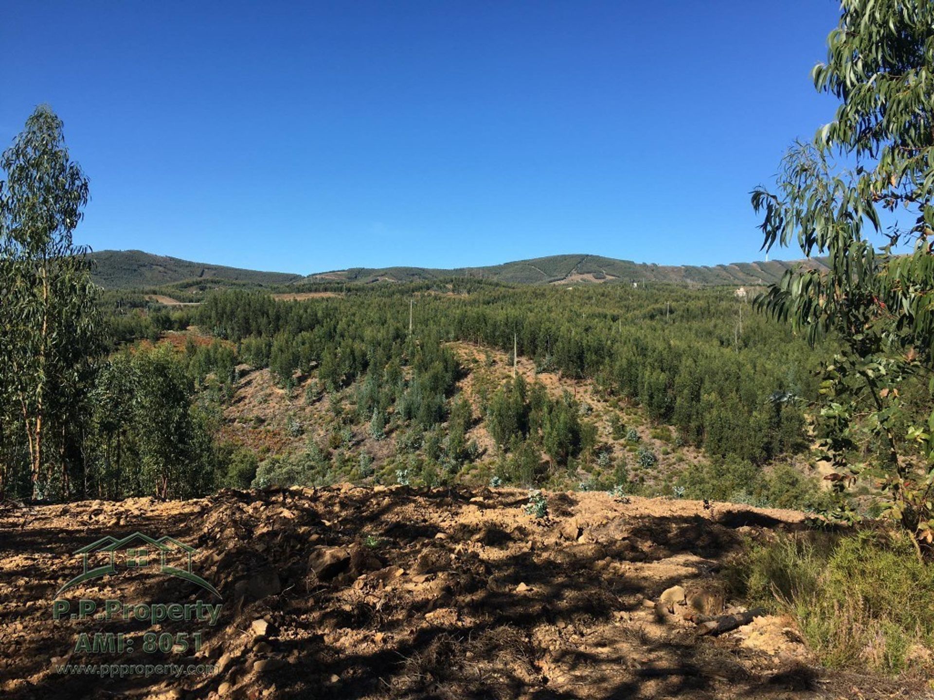 Tierra en Castanheira de Pera, Leiría 10119256