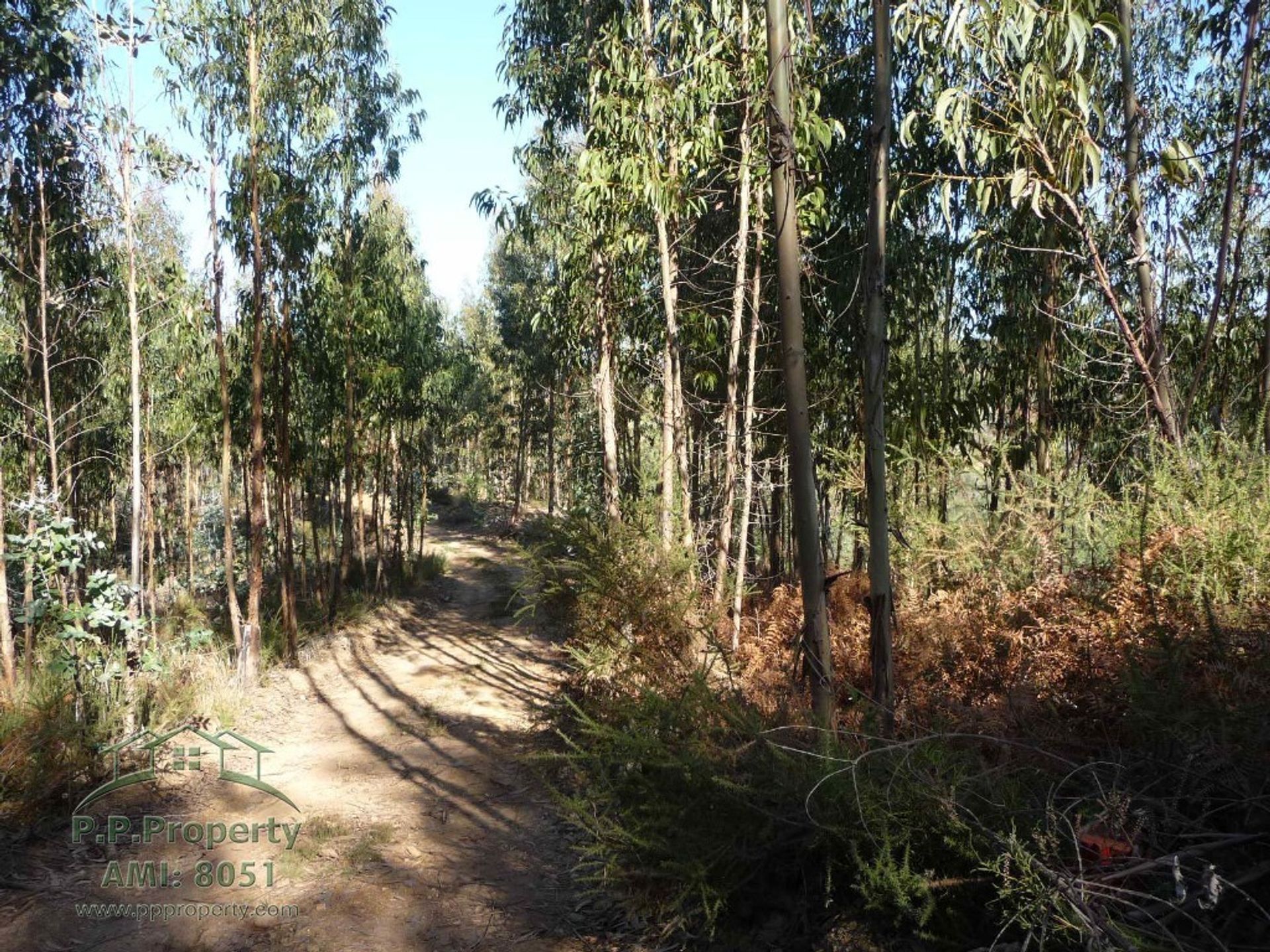 Land in Castánheira de Pera, Leiria 10119256