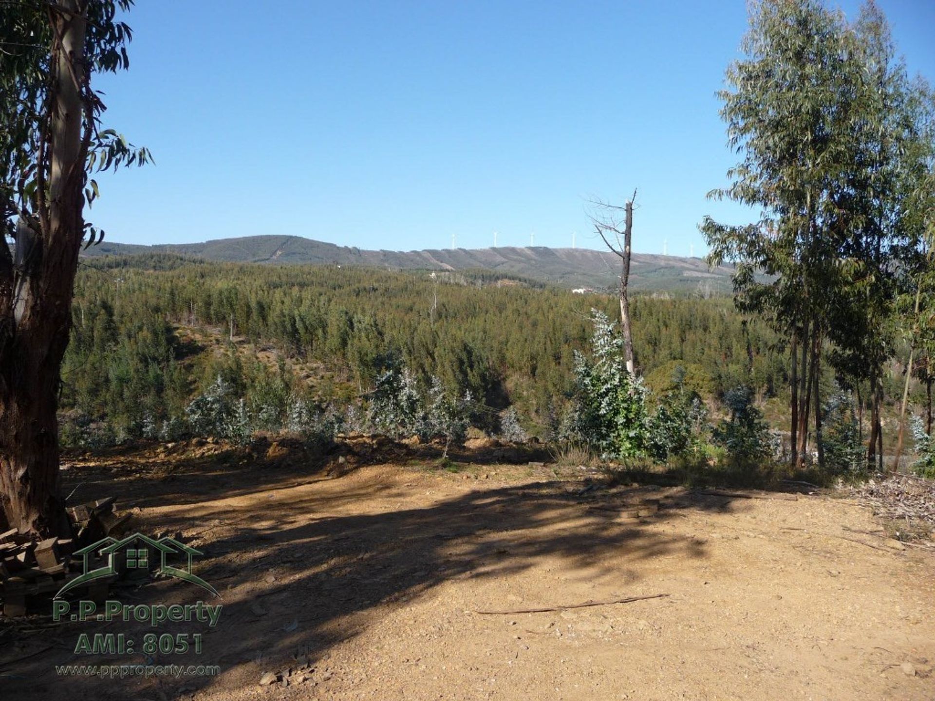 Land i Castanheira de Pêra, Leiria District 10119256