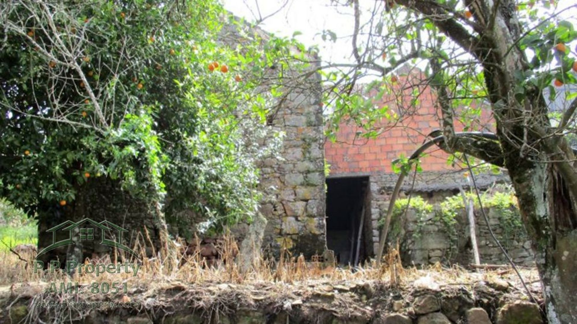 房子 在 Ferreira do Zêzere, Santarém District 10119266