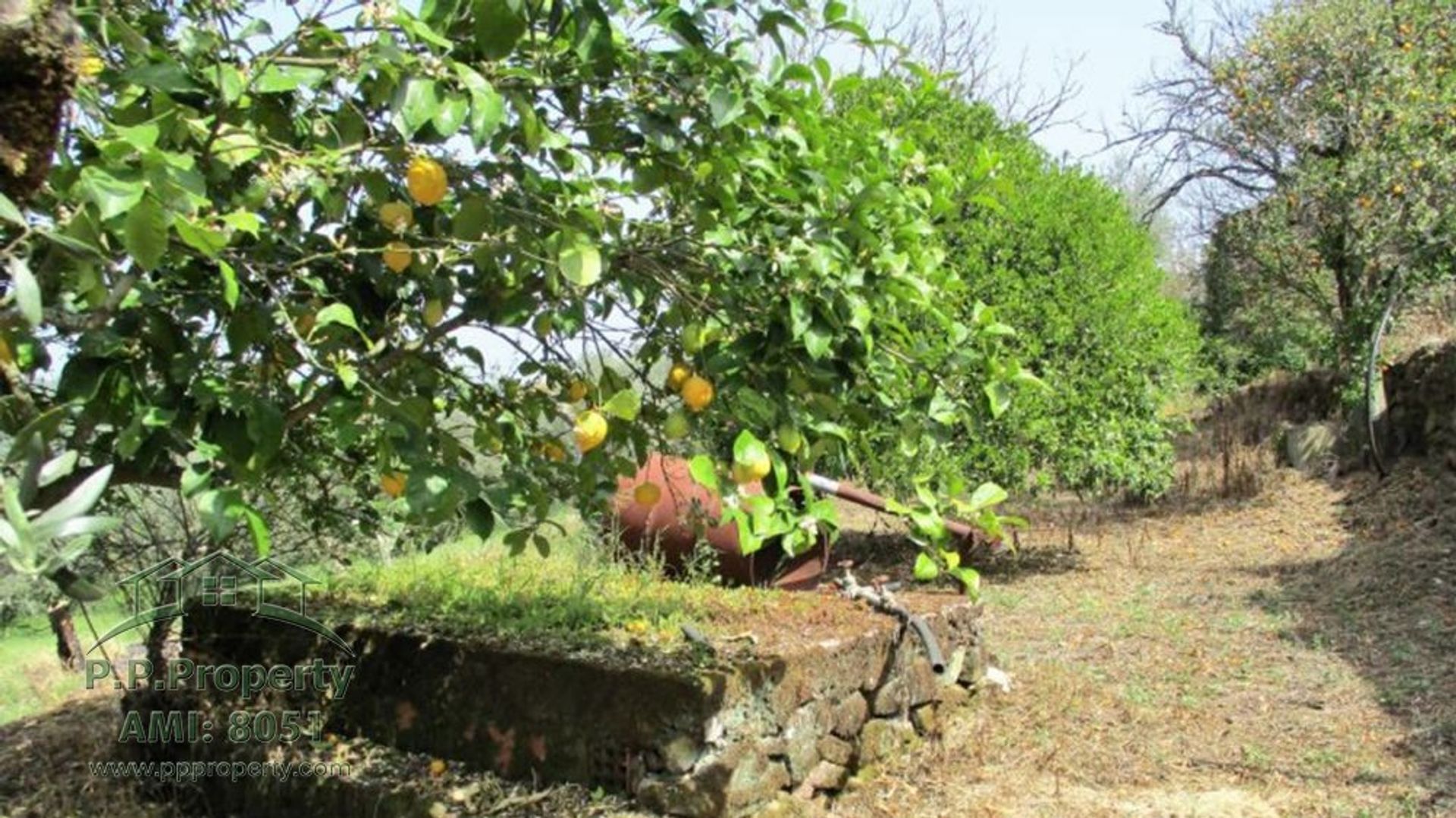 بيت في Ferreira do Zêzere, Santarém District 10119266