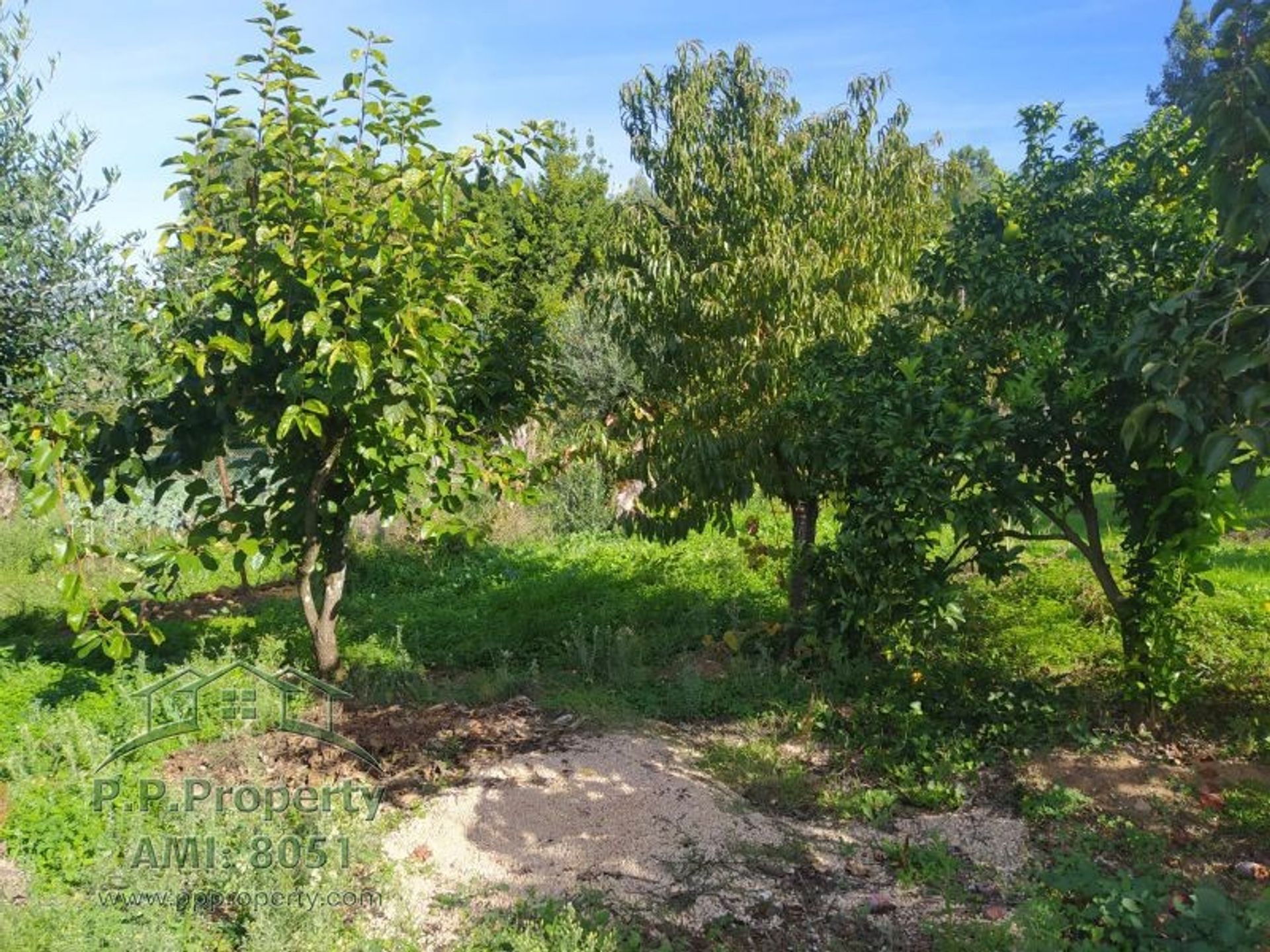 loger dans Ferreira do Zêzere, Santarém District 10119277