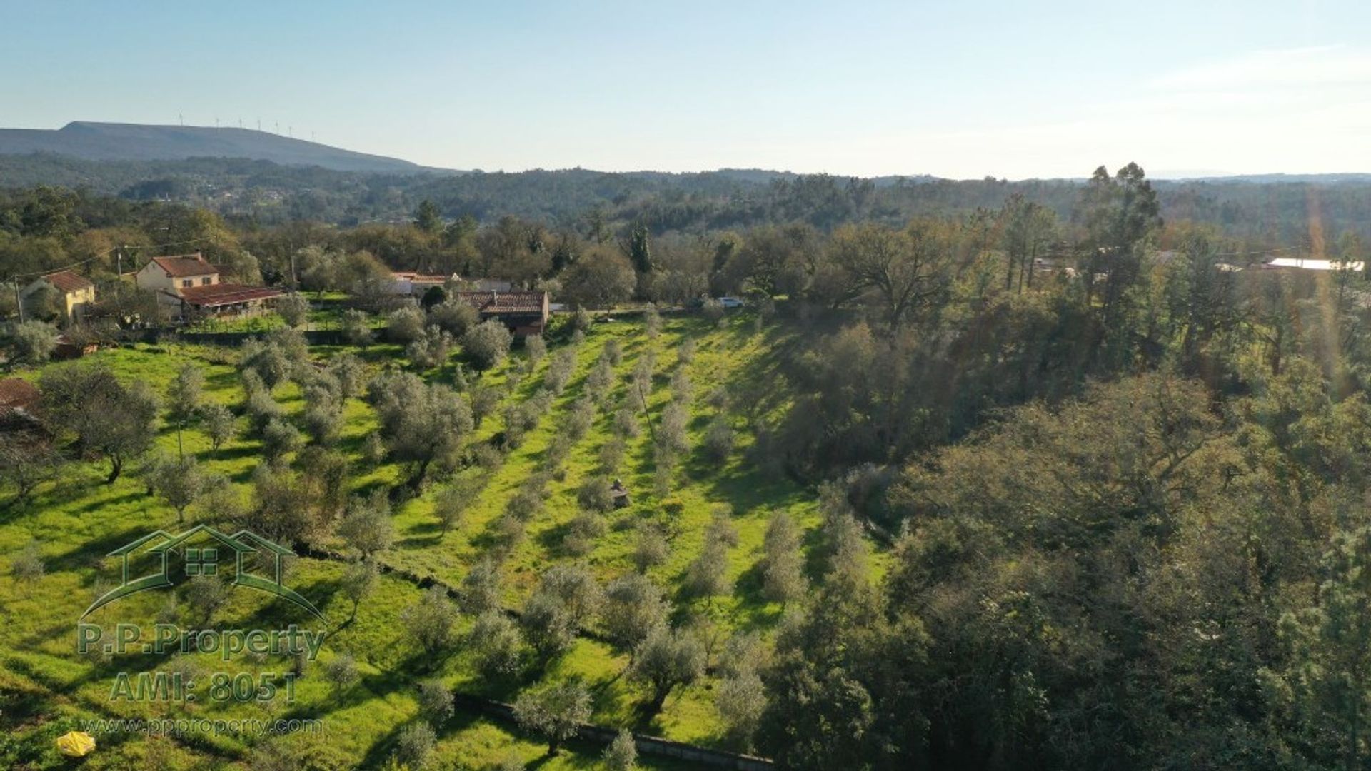 House in Ansiao, Leiria 10119281