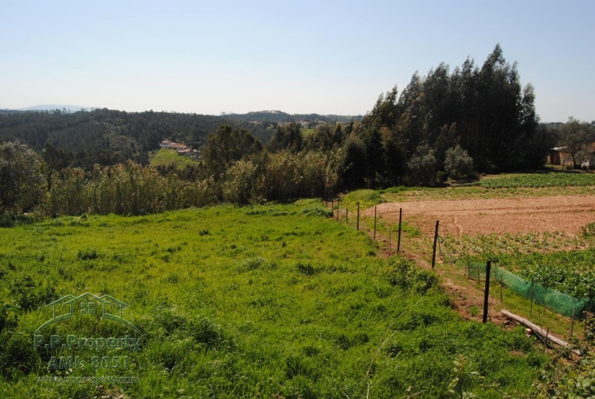 Tanah dalam Caldas da Rainha, Leiria 10119287