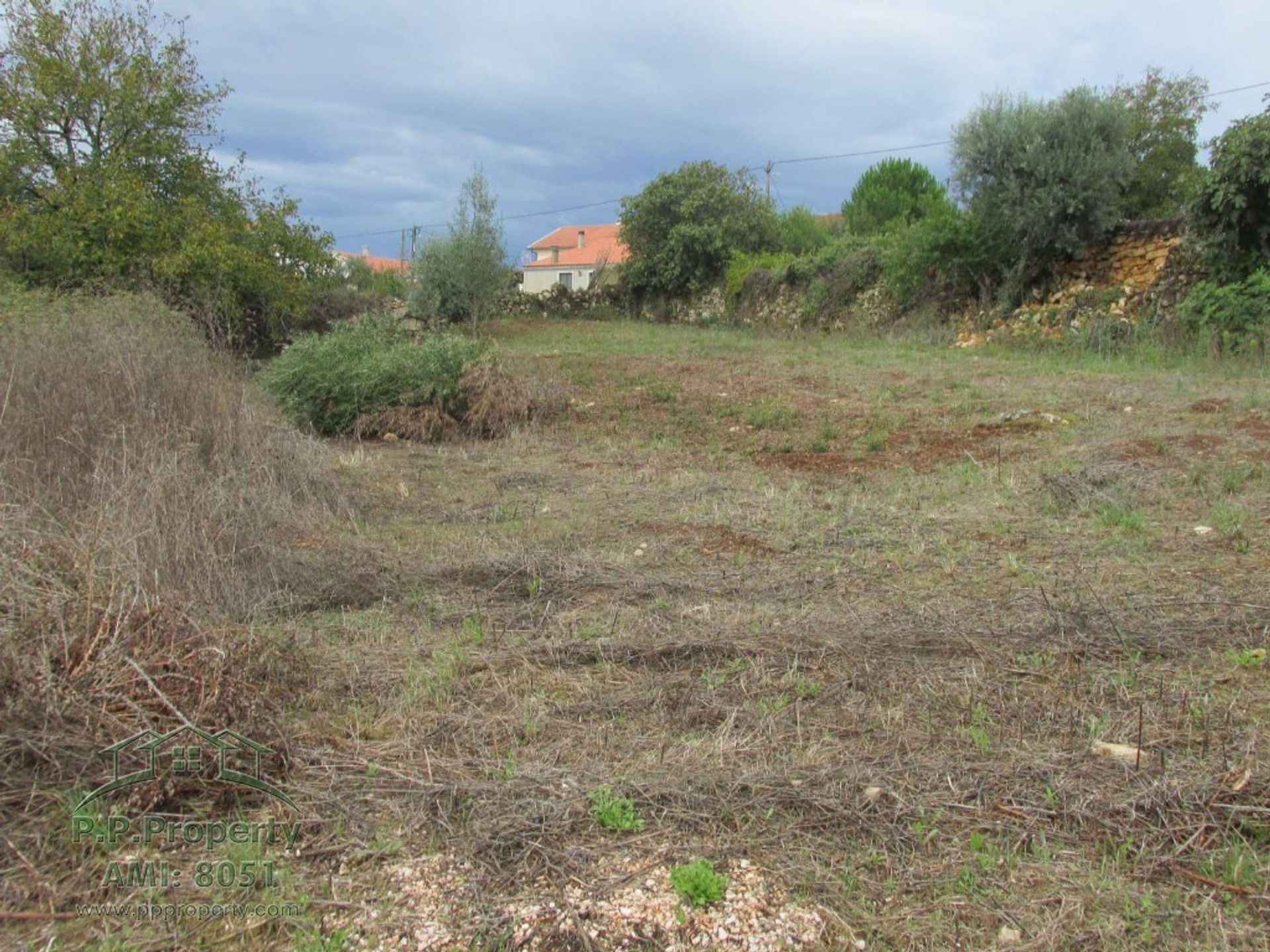 Tanah di Penela, Coimbra 10119288