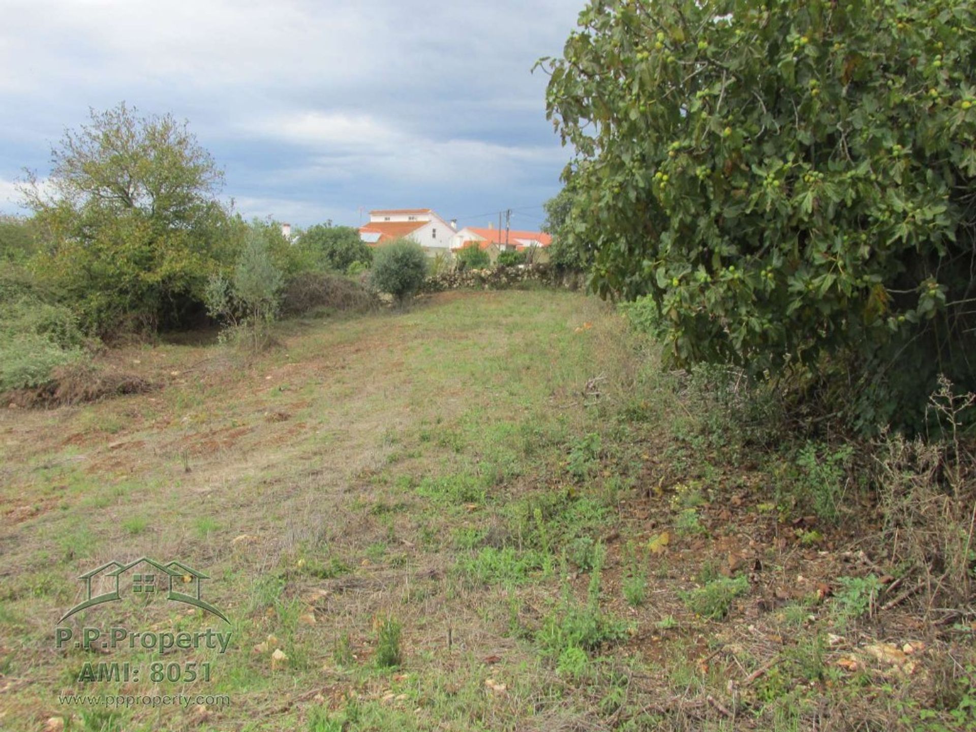 Land i Penela, Coimbra 10119288