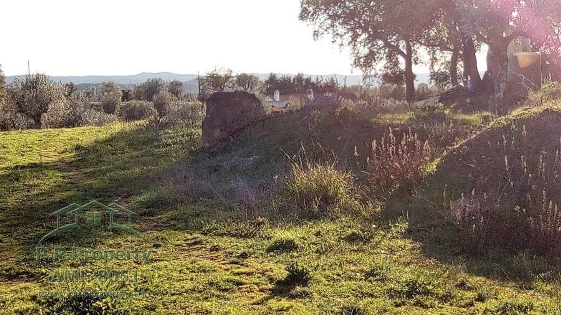 Tierra en Palhava, Santarem 10119290