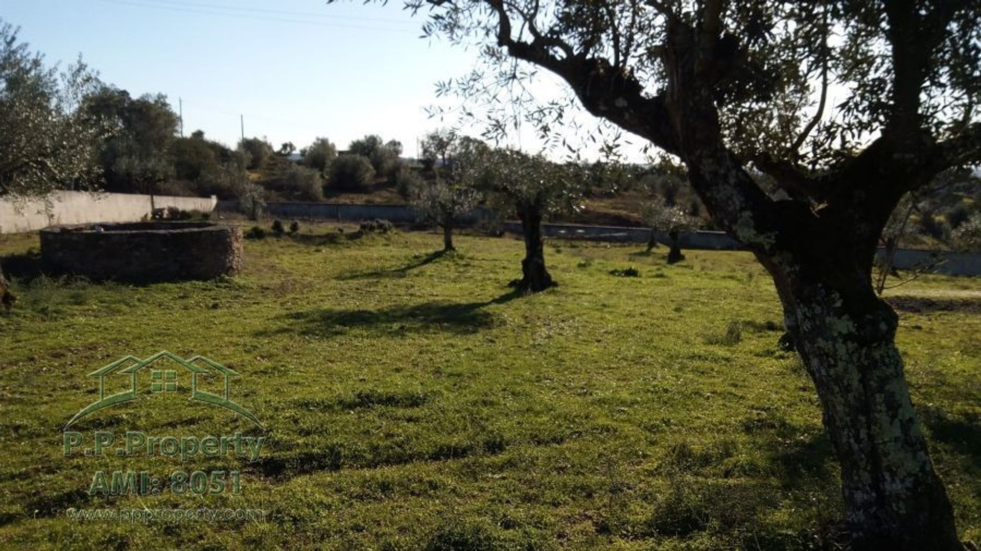 Tierra en Palhava, Santarem 10119290