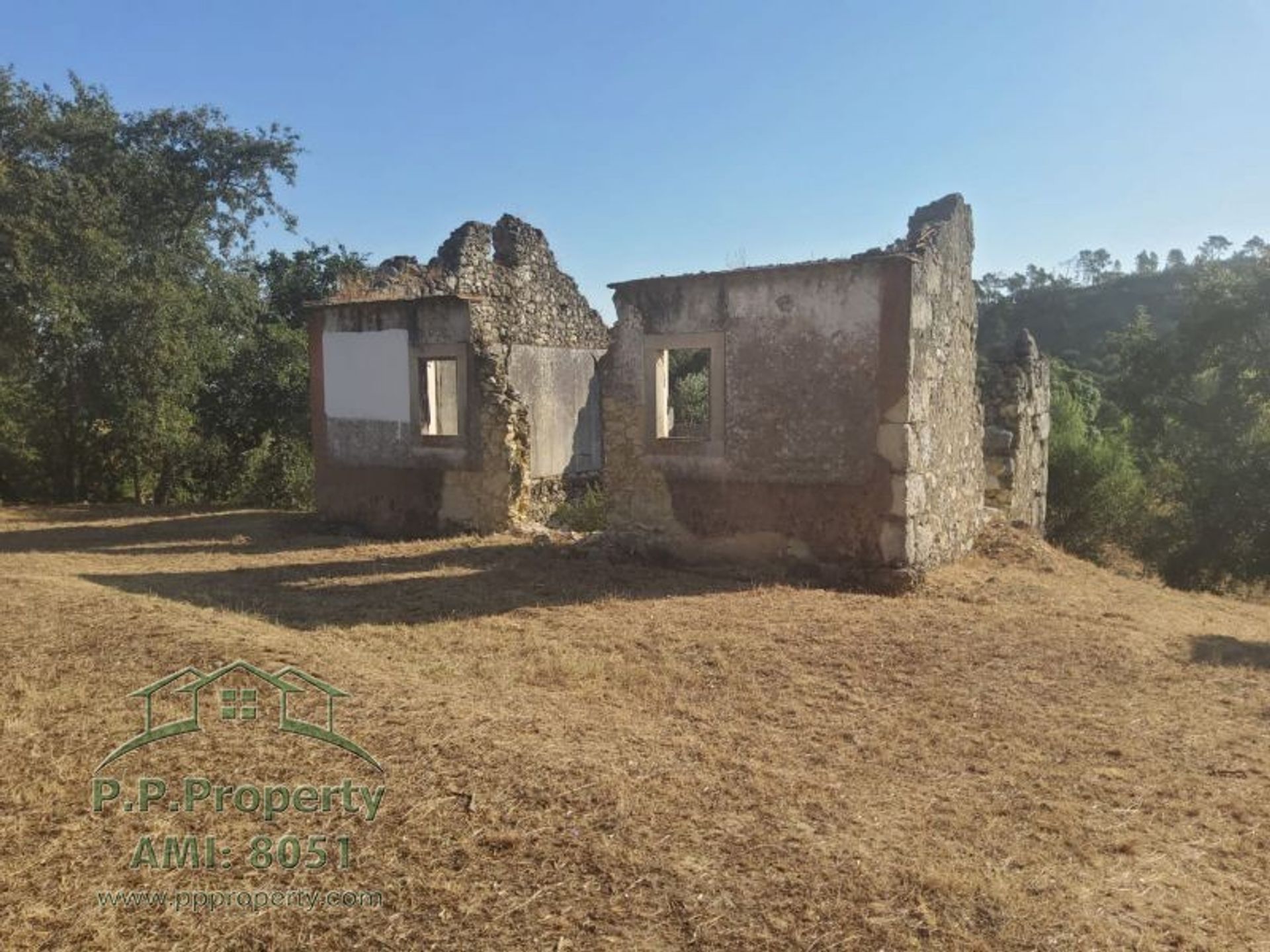 House in Torres Novas, Santarem 10119291