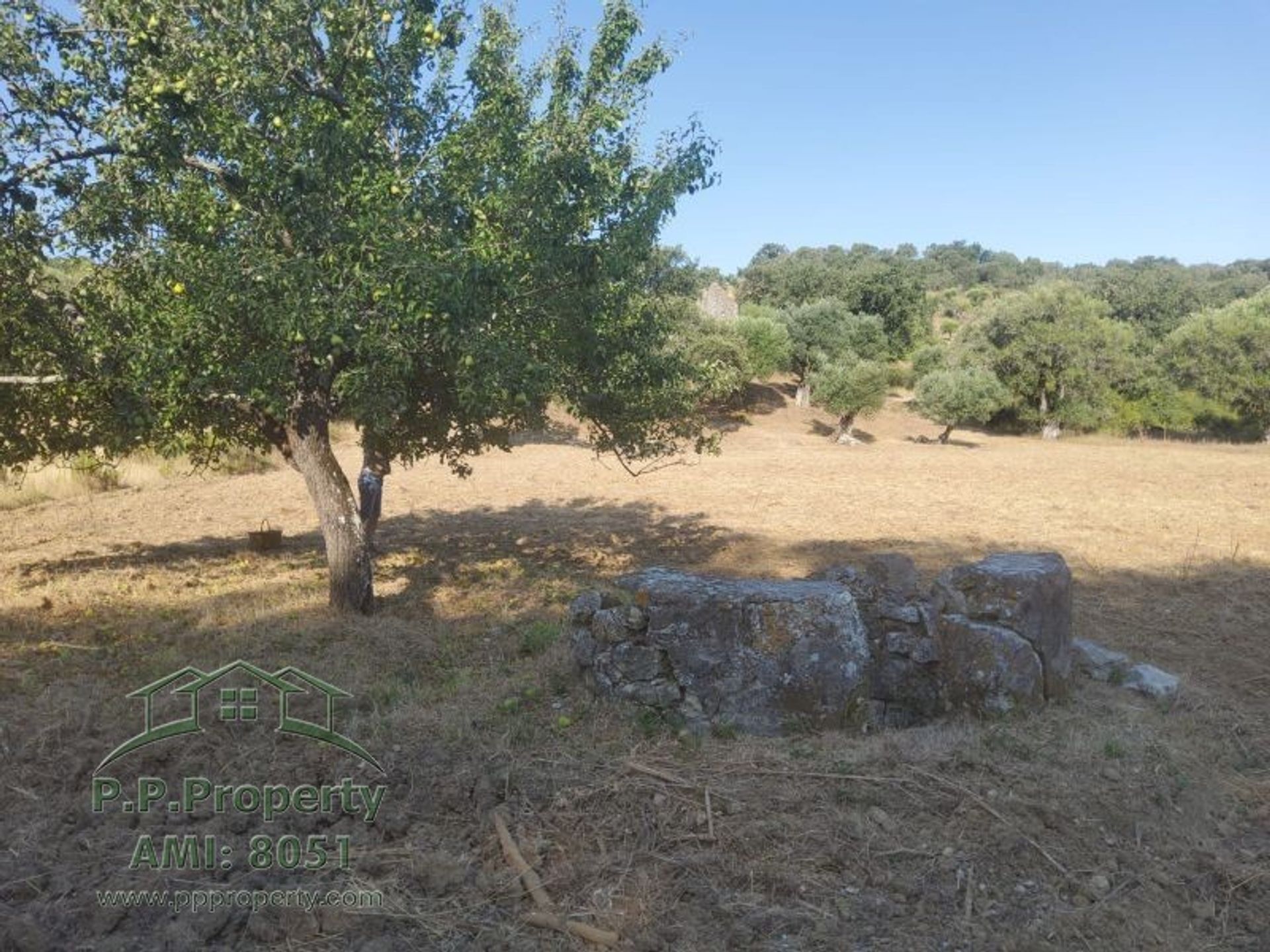 House in Torres Novas, Santarem 10119291