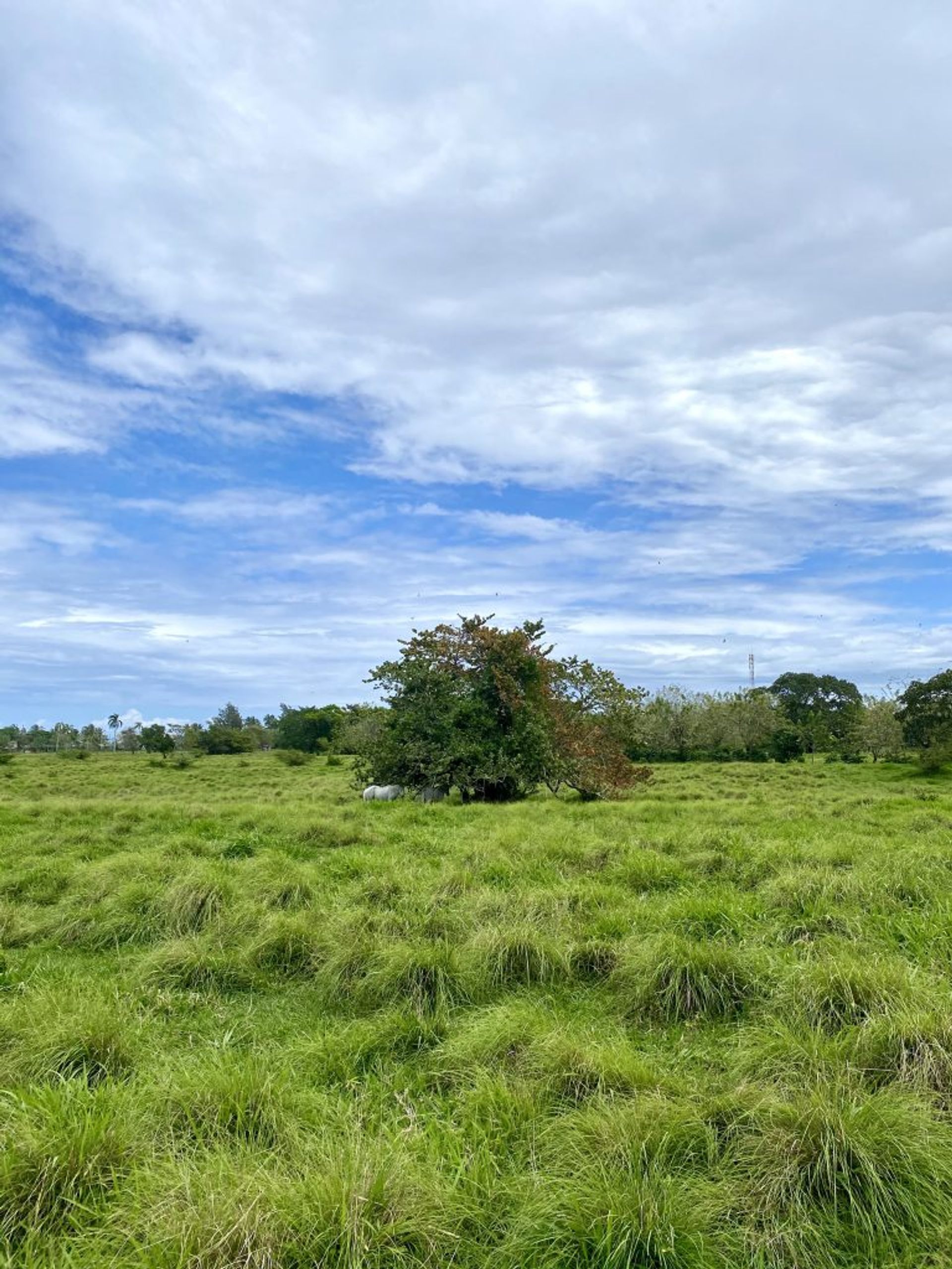 Tanah dalam Canada Blanca, Valdesia 10120272