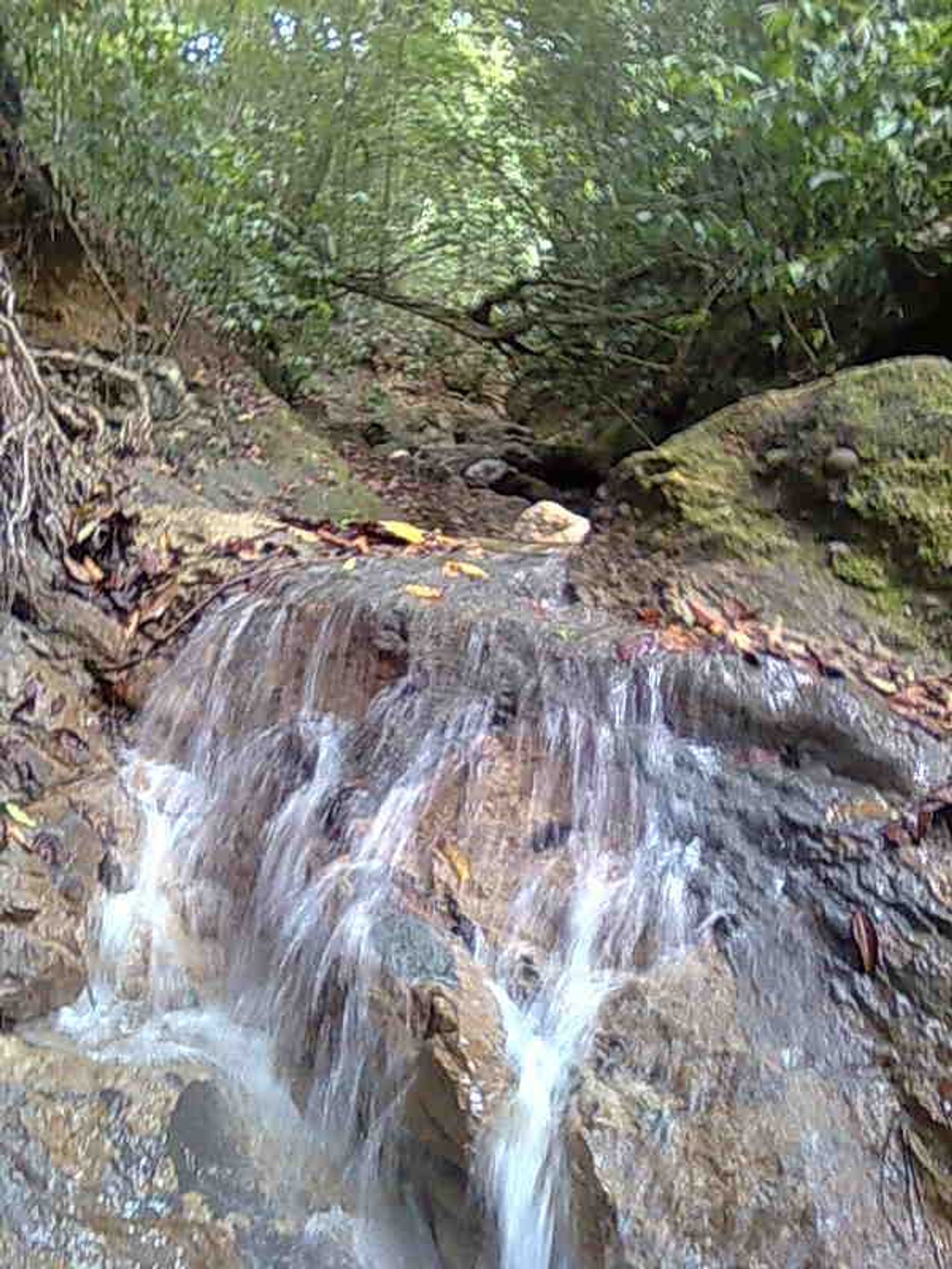 Terra no Cañada Blanca, Valdésia 10120312