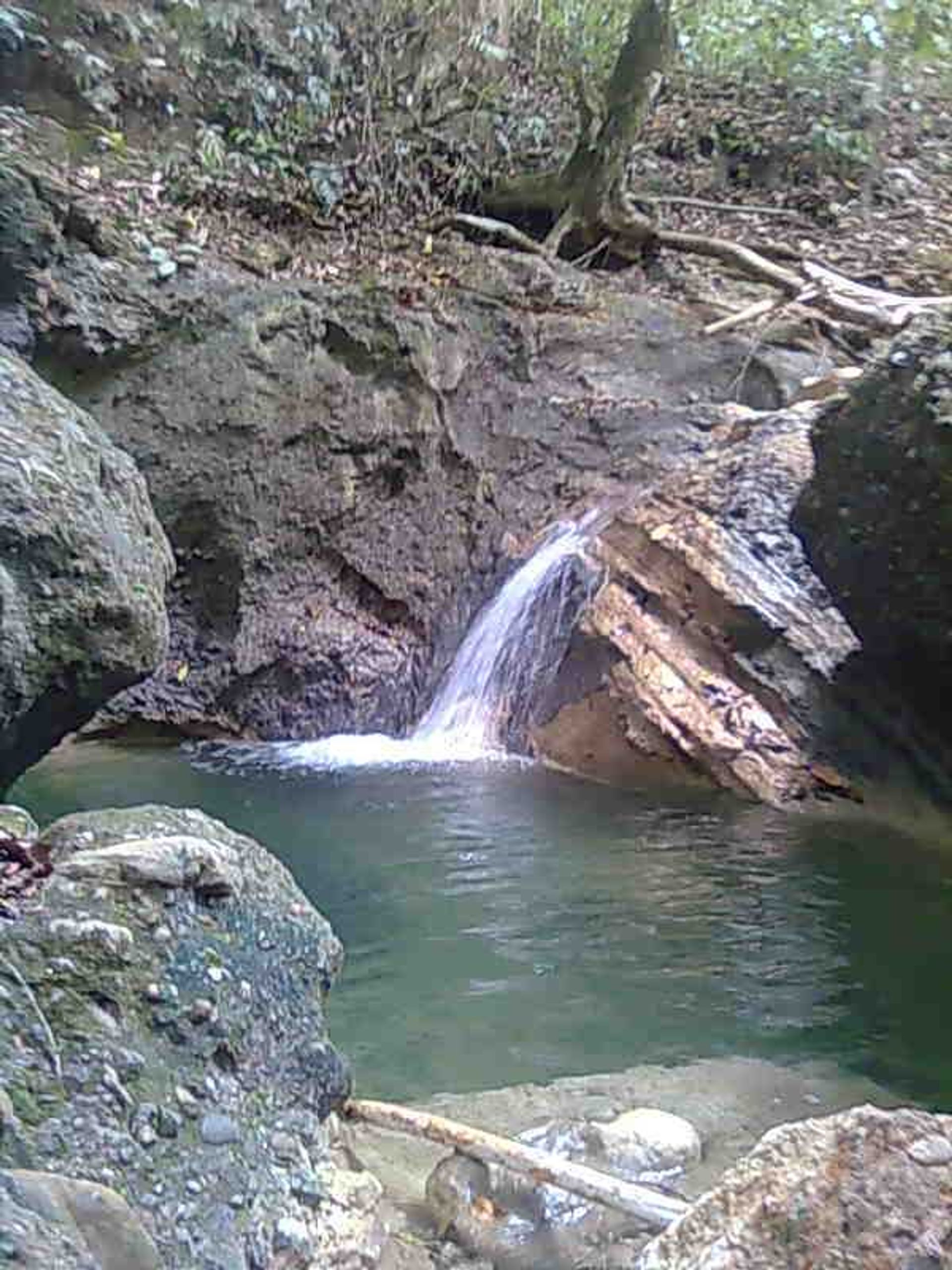 Tierra en Cañada Blanca, Valdesia 10120312