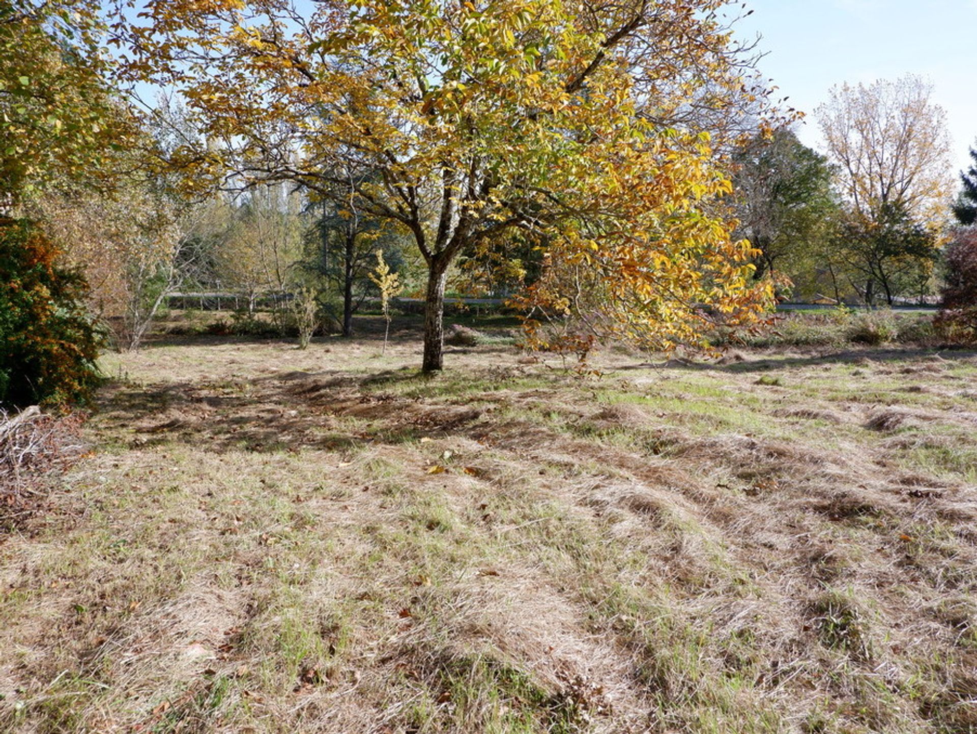 rumah dalam Villeréal, Nouvelle-Aquitaine 10120380