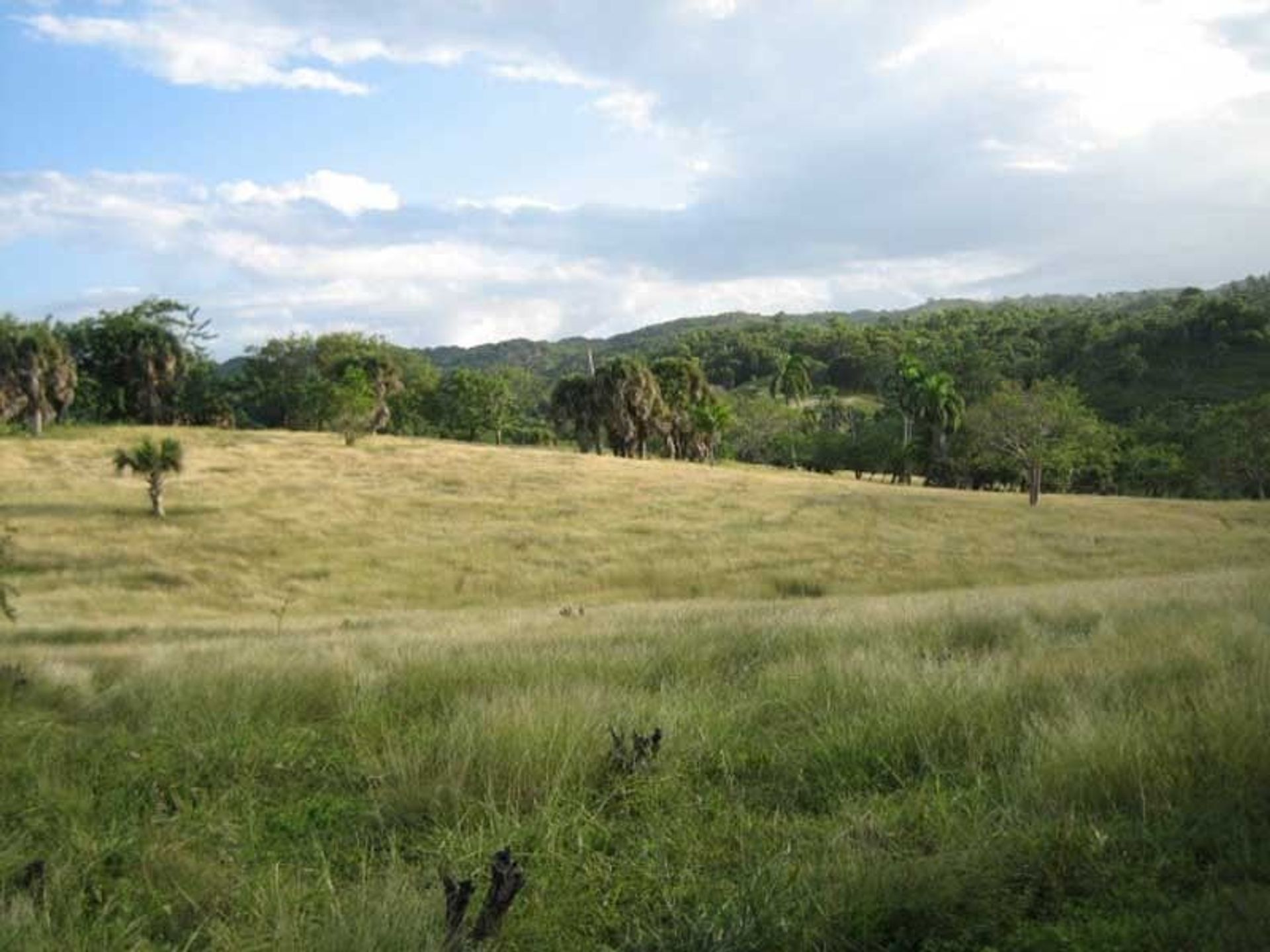 Land in Cañada Blanca, Valdesia 10120479